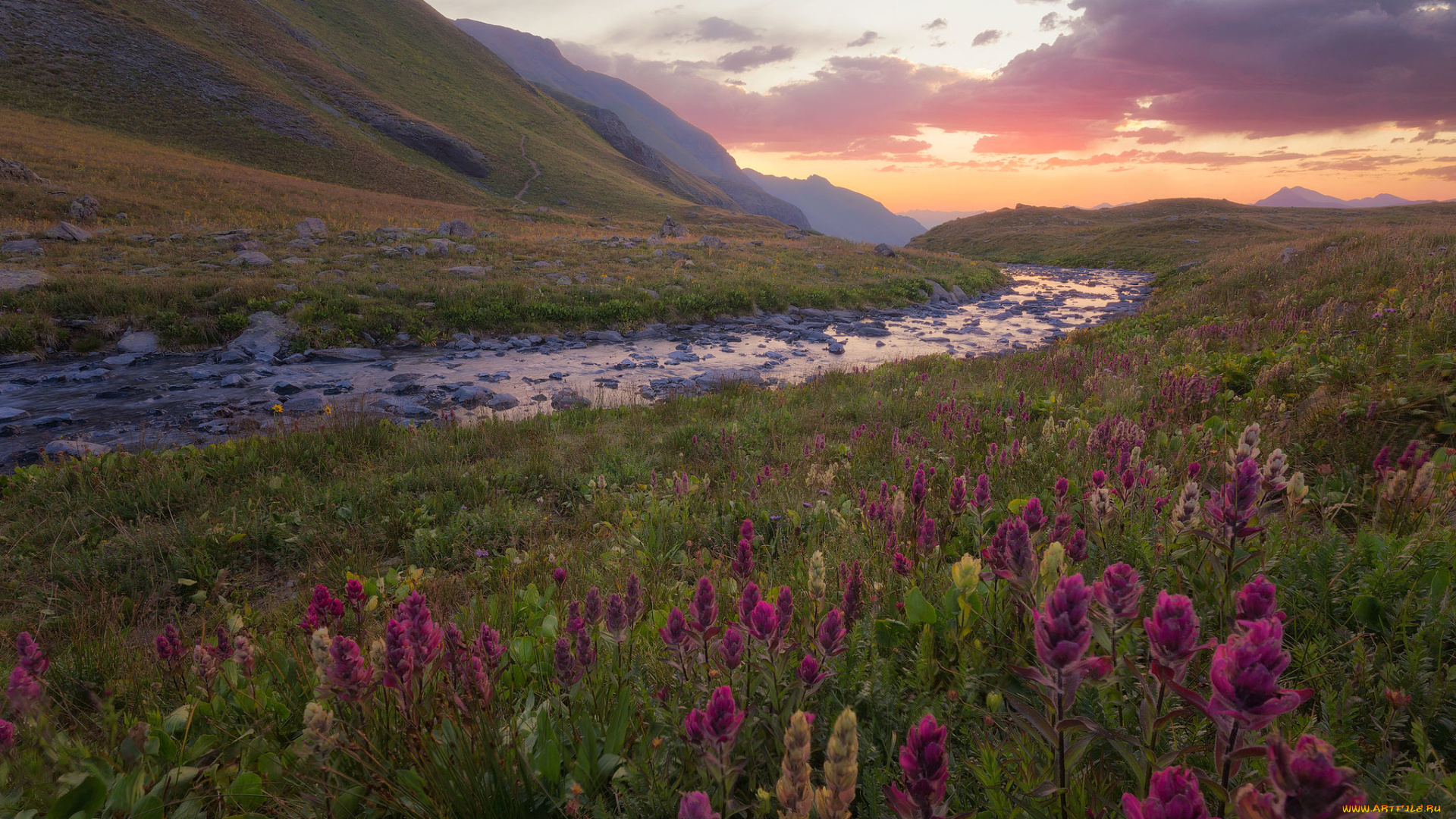 природа, луга, простор
