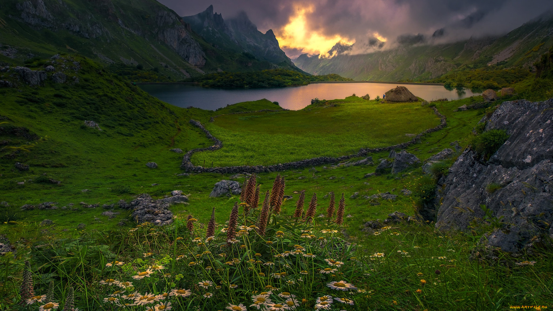 природа, луга, простор