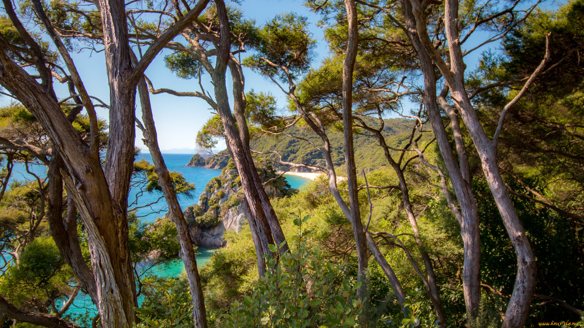 природа, побережье, простор