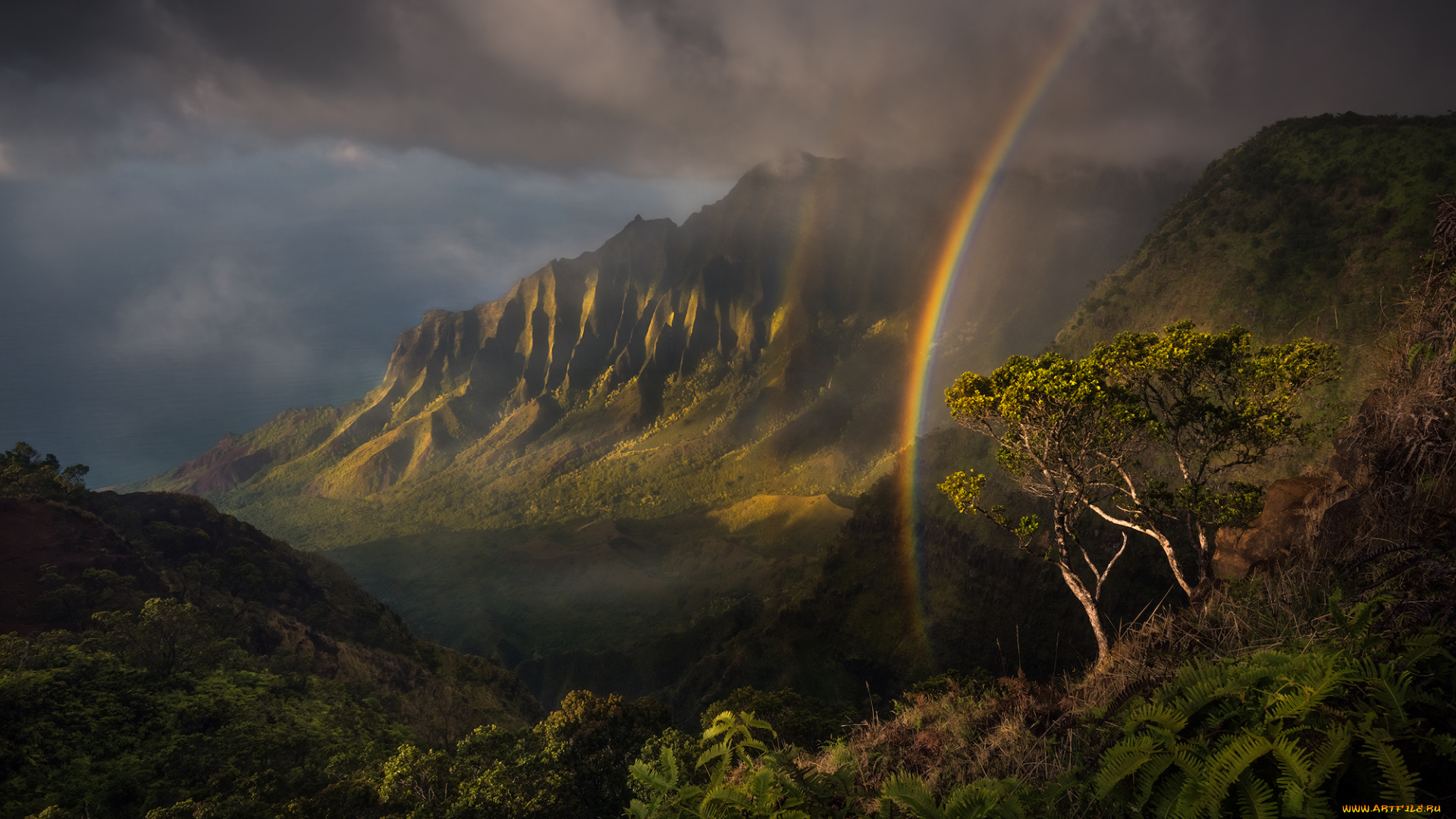 природа, радуга, простор