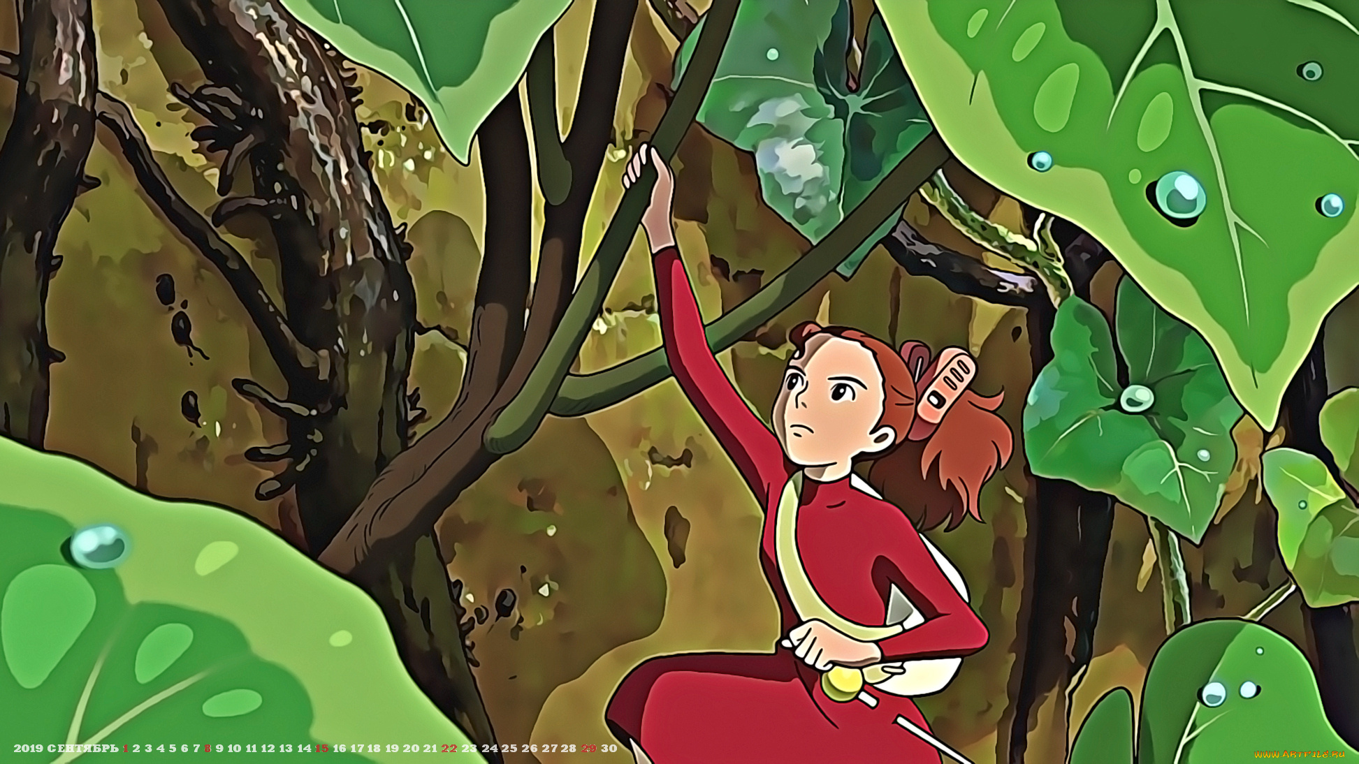 календари, аниме, листья, девочка, капля, calendar, 2019, растение
