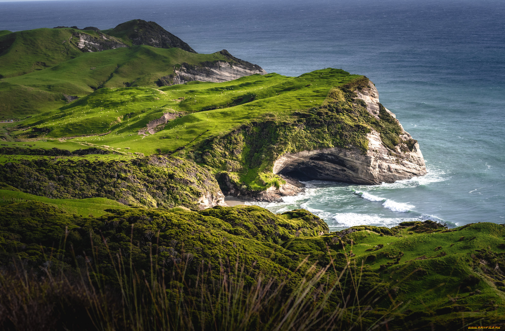 природа, побережье, простор