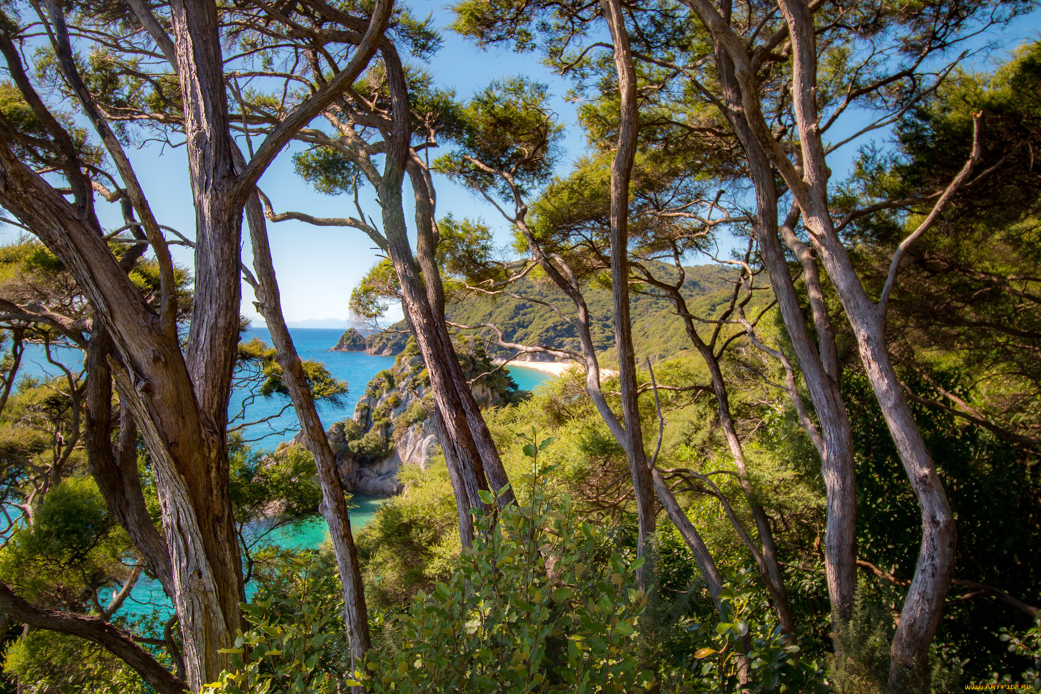 природа, побережье, простор