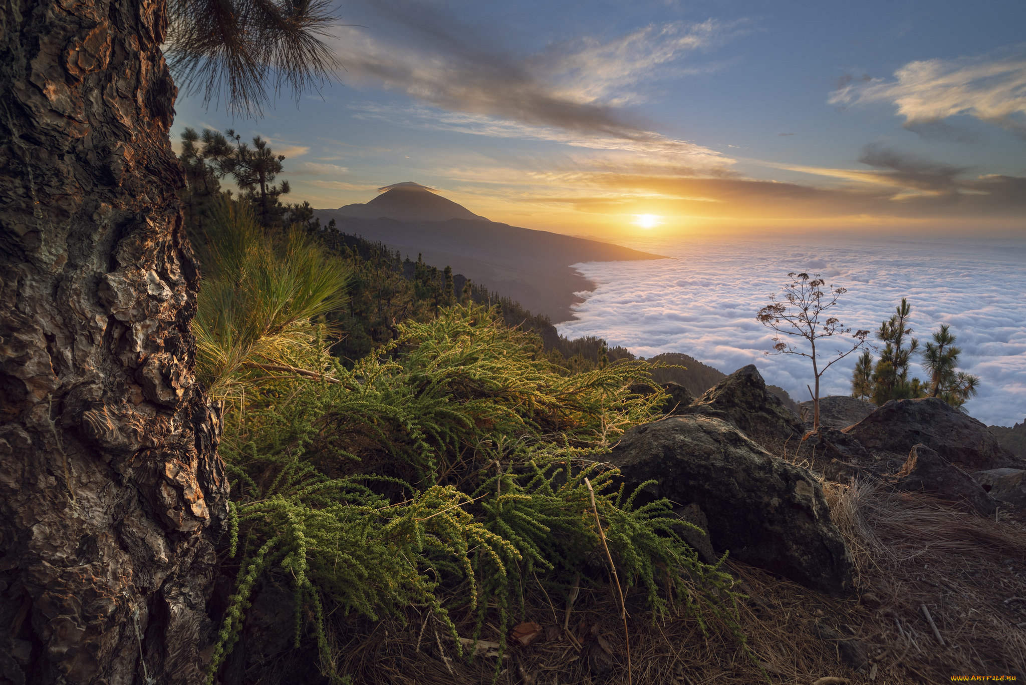 природа, побережье, простор