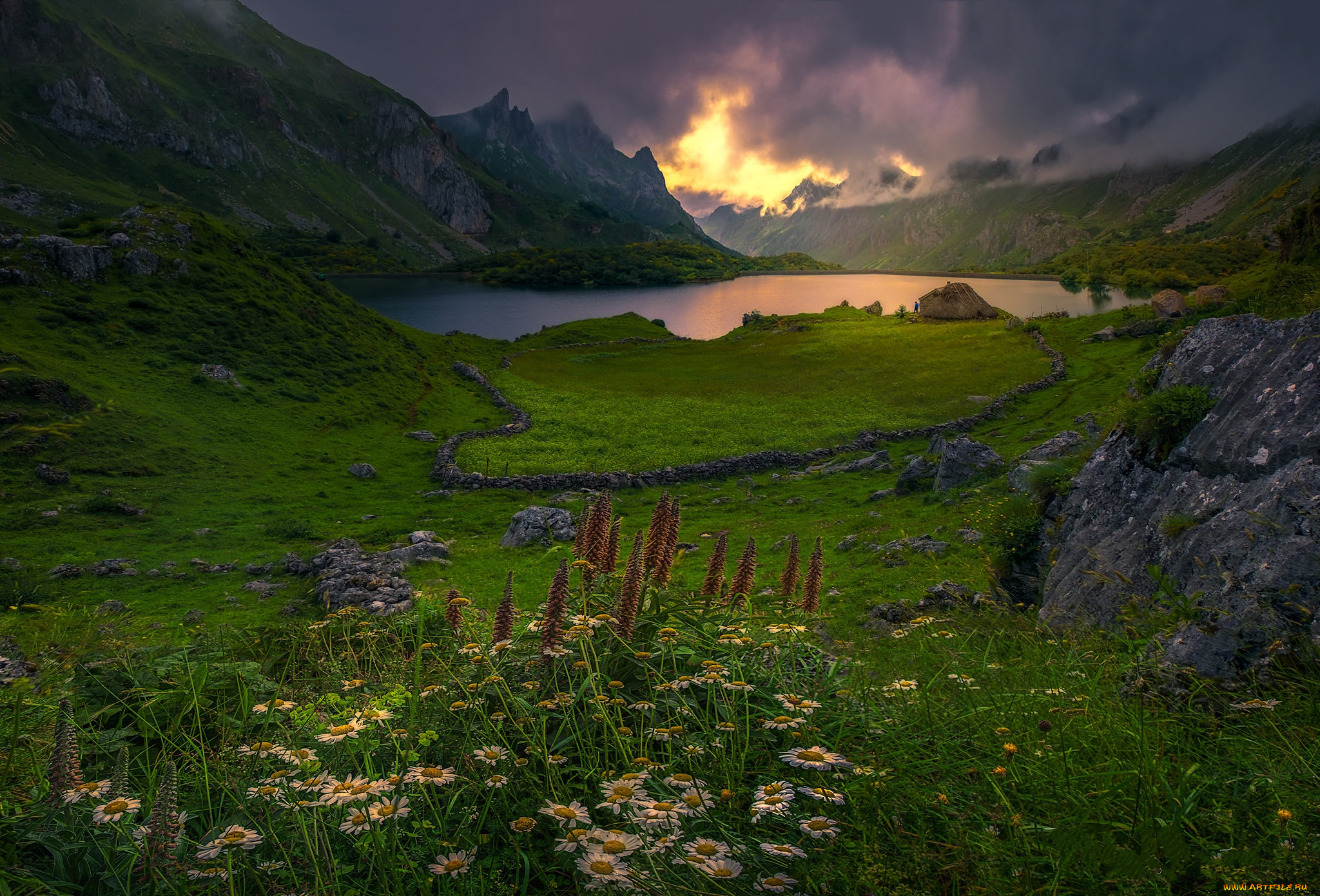 природа, луга, простор