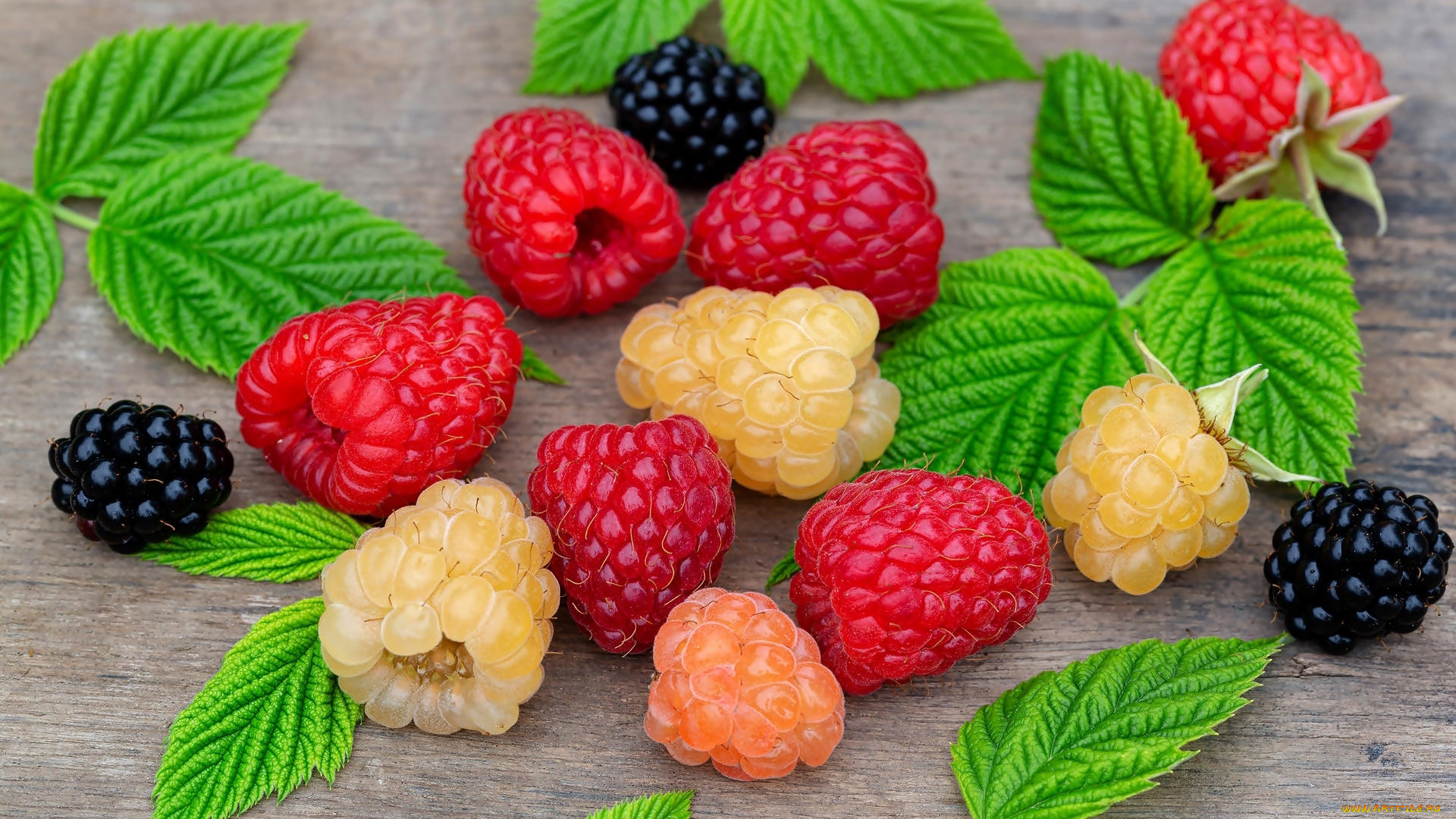 еда, малина, ягоды, спелая