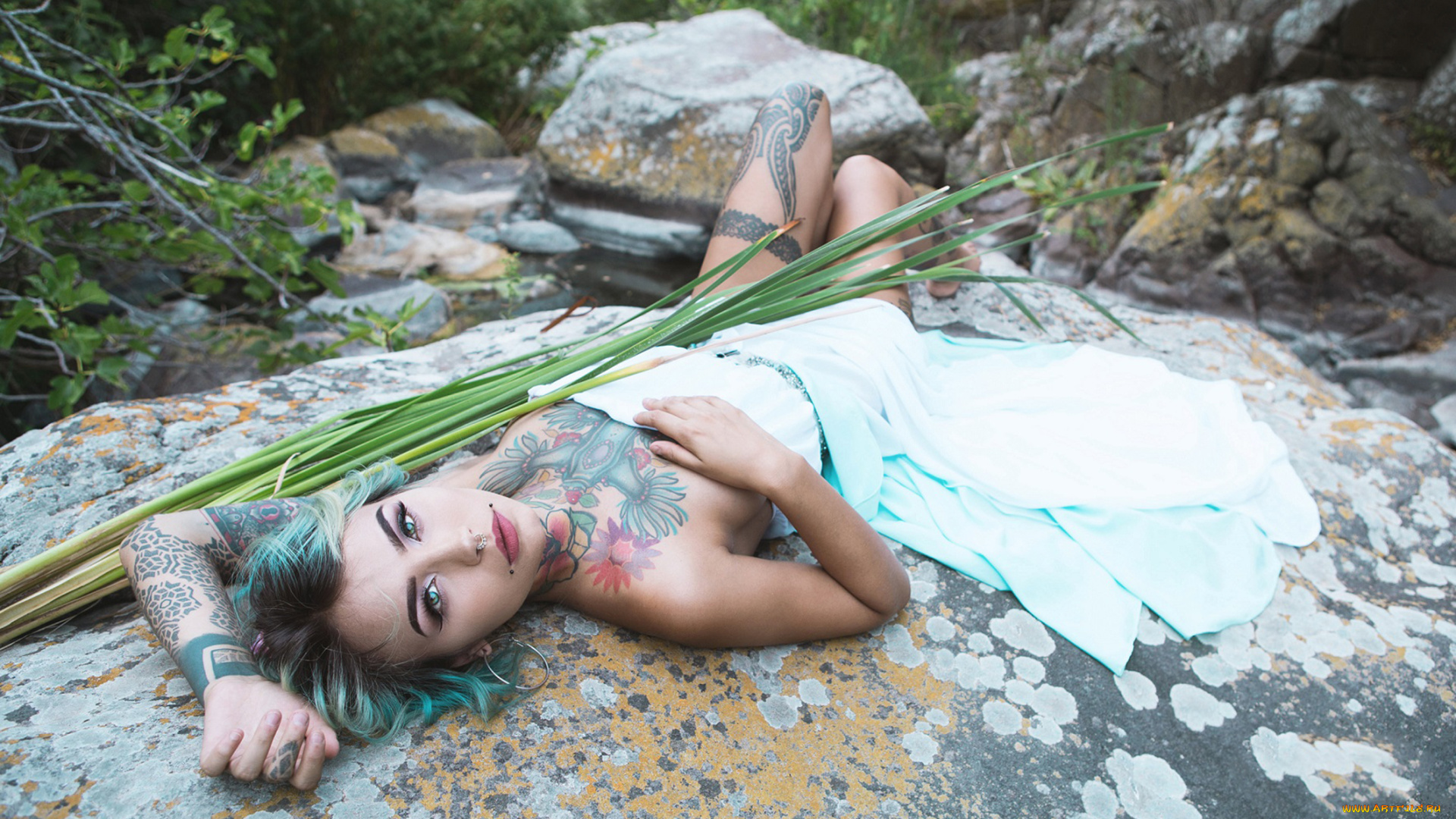 felisja, piana, девушки, felisja, piana, девушка, модель, крашеная, тату, татуировка, рисунки, кожа, пирсинг, поза, макияж, причёска, красотка, сексуальная, экстравагантная, наряд