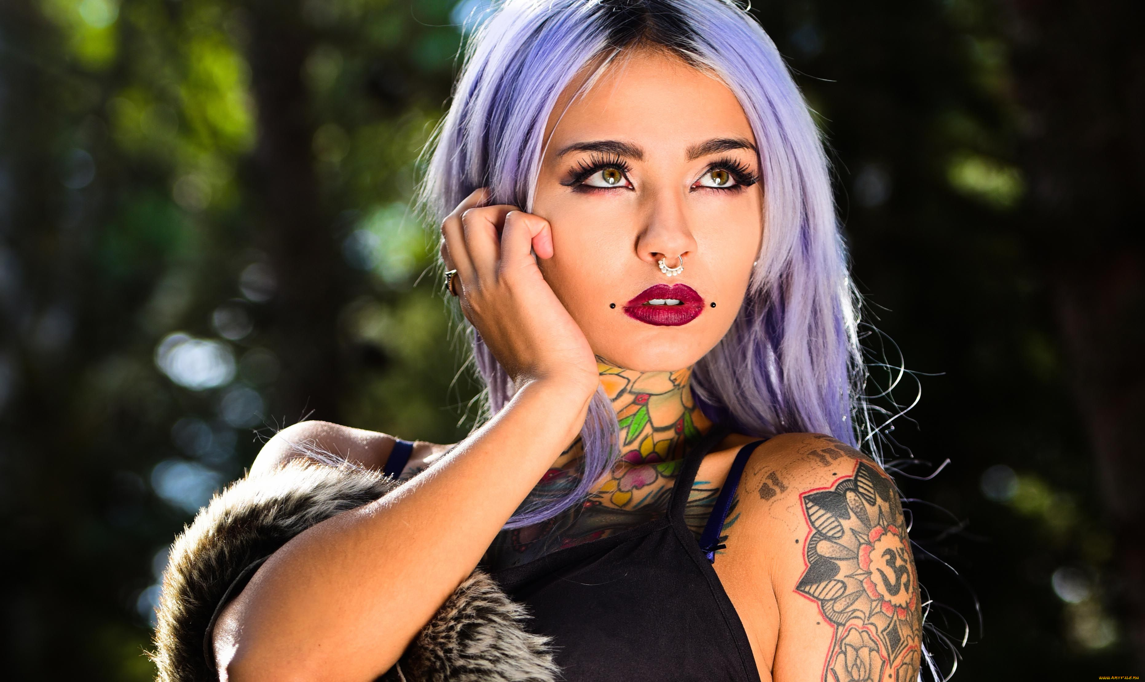 felisja, piana, девушки, felisja, piana, девушка, модель, крашеная, тату, татуировка, рисунки, кожа, пирсинг, поза, макияж, причёска, красотка, сексуальная, экстравагантная, наряд