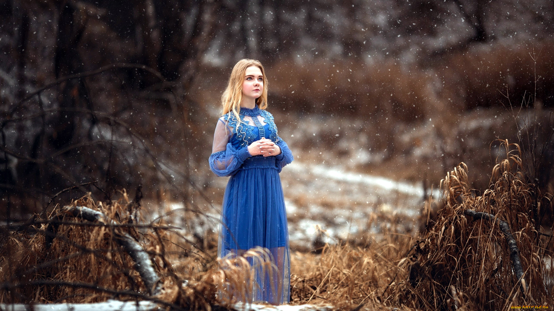 девушки, -, блондинки, , светловолосые, блондинка, синее, платье, снег