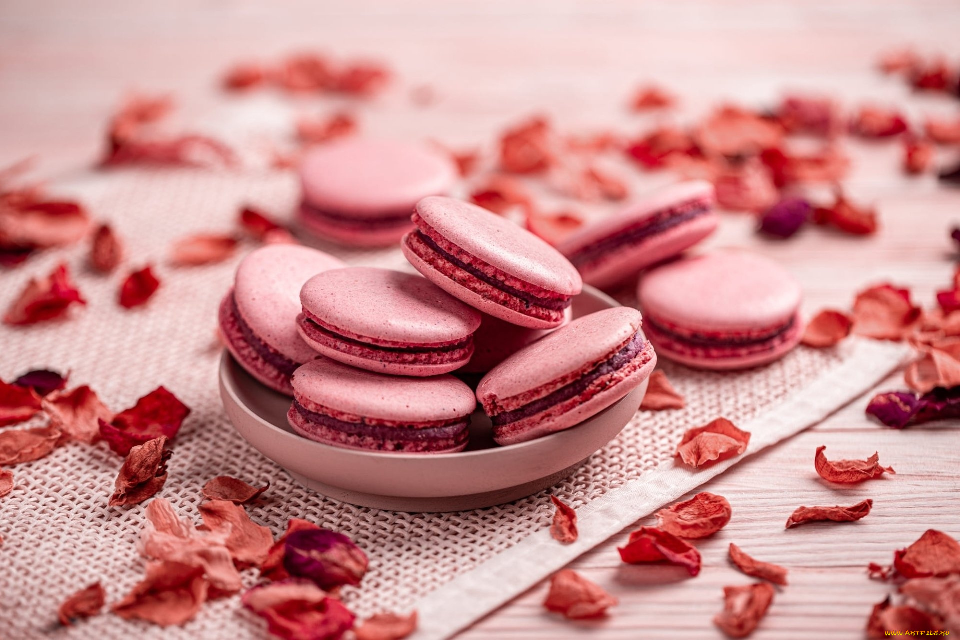 еда, макаруны, лакомство, печенье