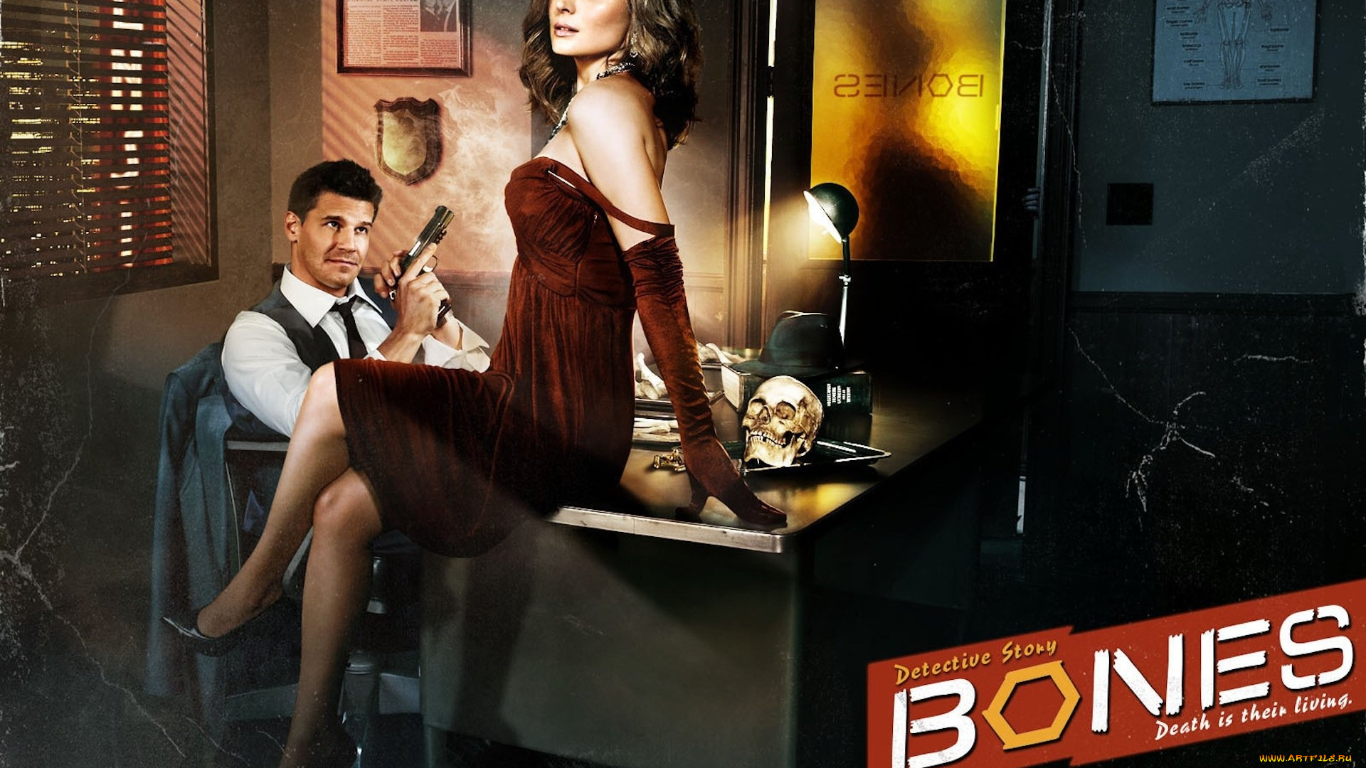 кино, фильмы, bones, детективы, череп, кабинет, стол