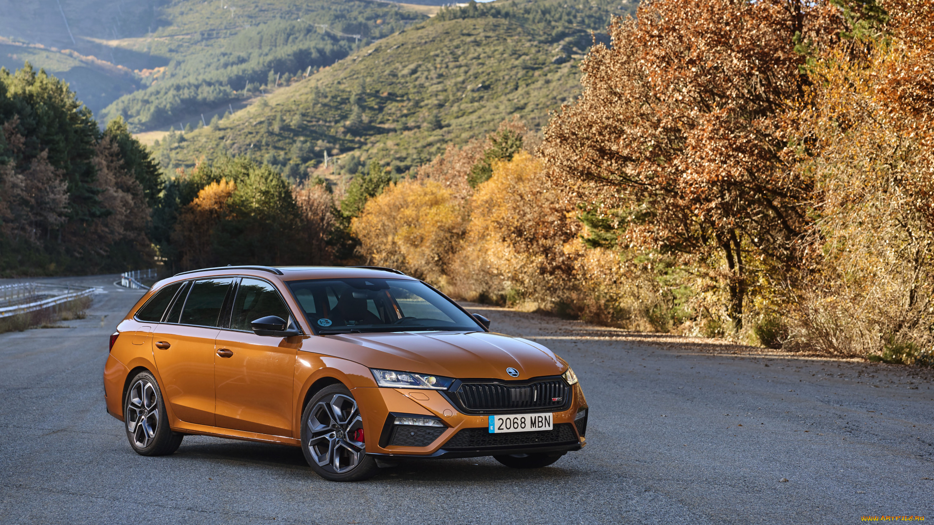 автомобили, skoda