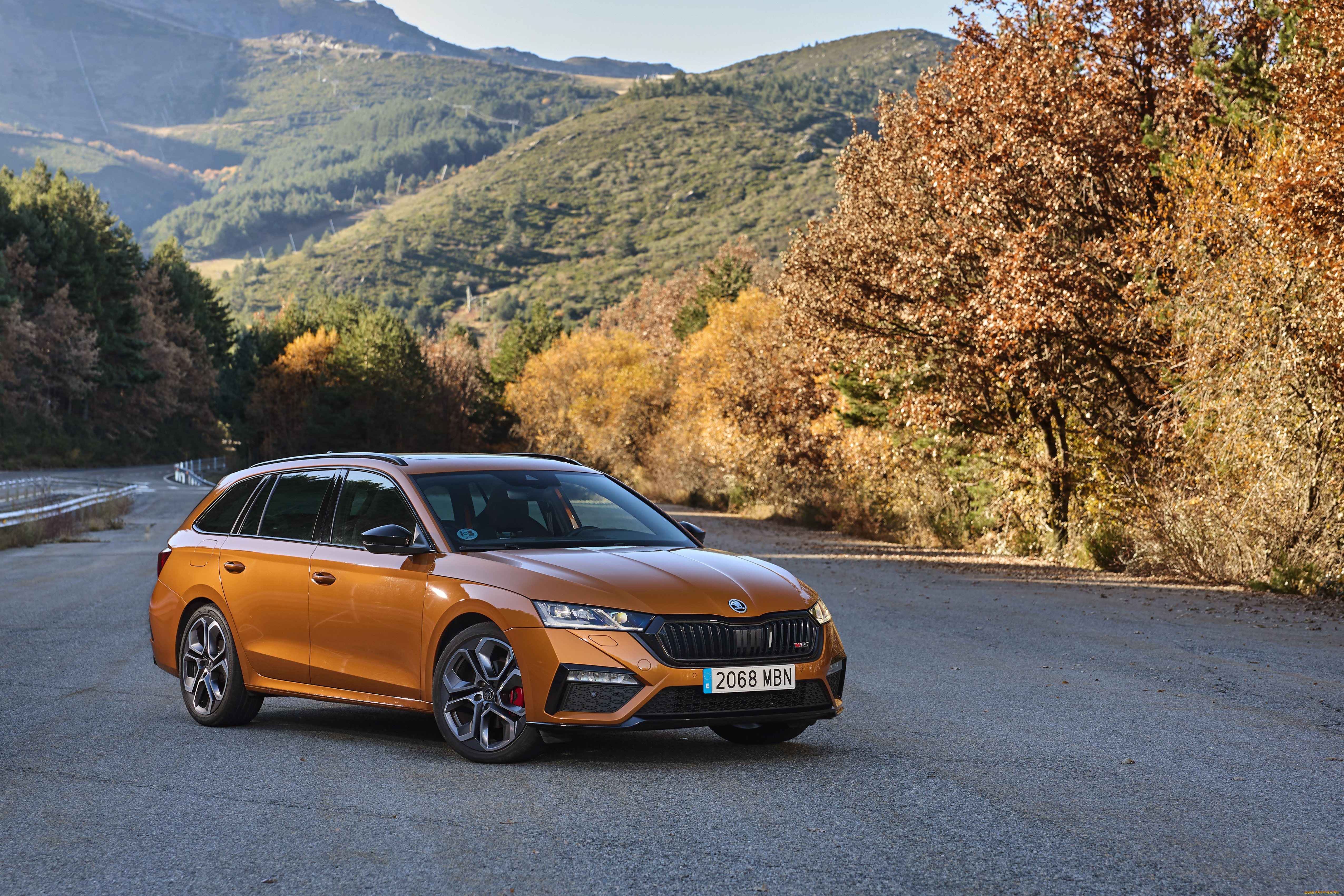 автомобили, skoda