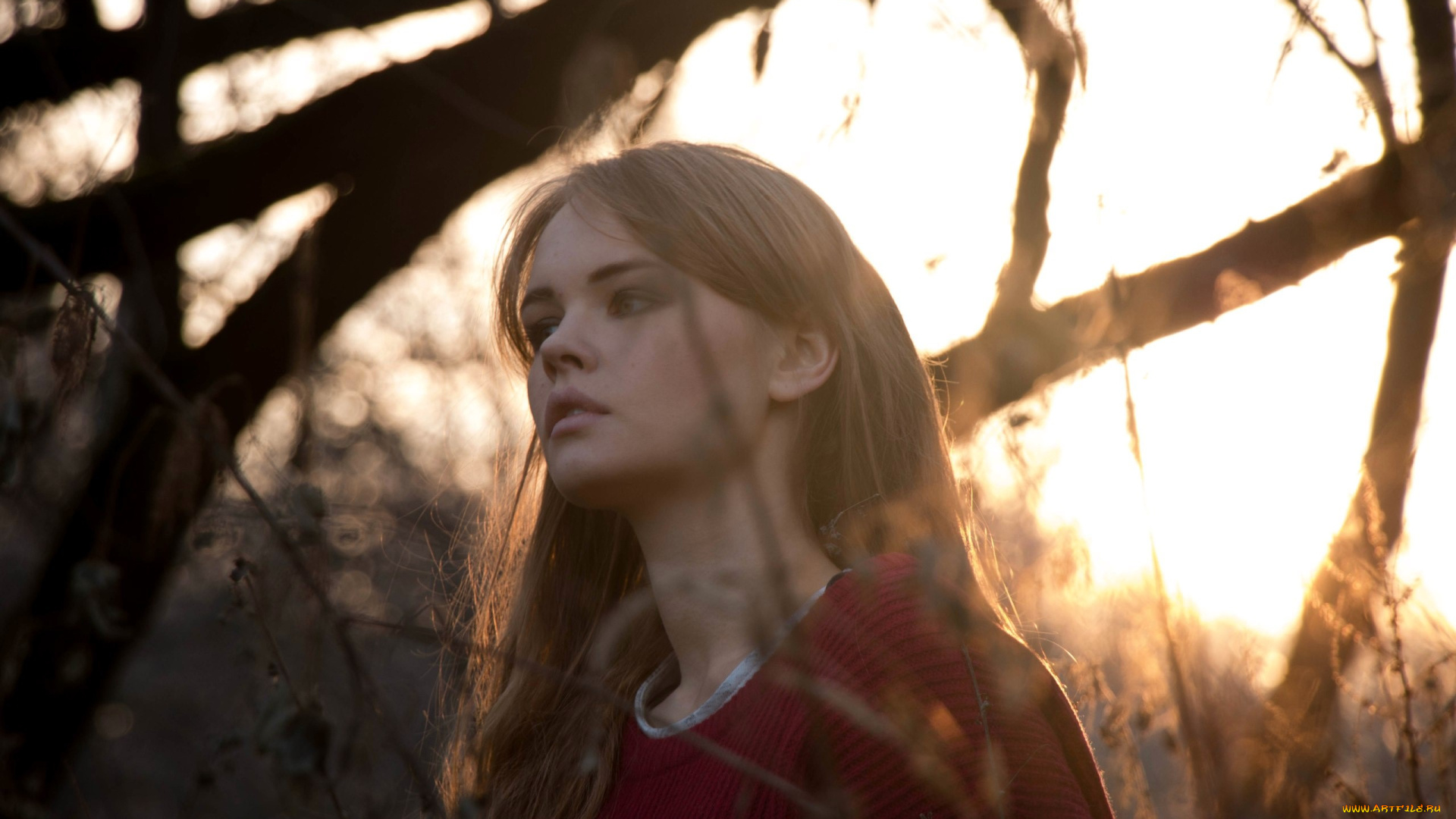 девушки, анастасия, щеглова, шатенка, лицо, свитер, деревья