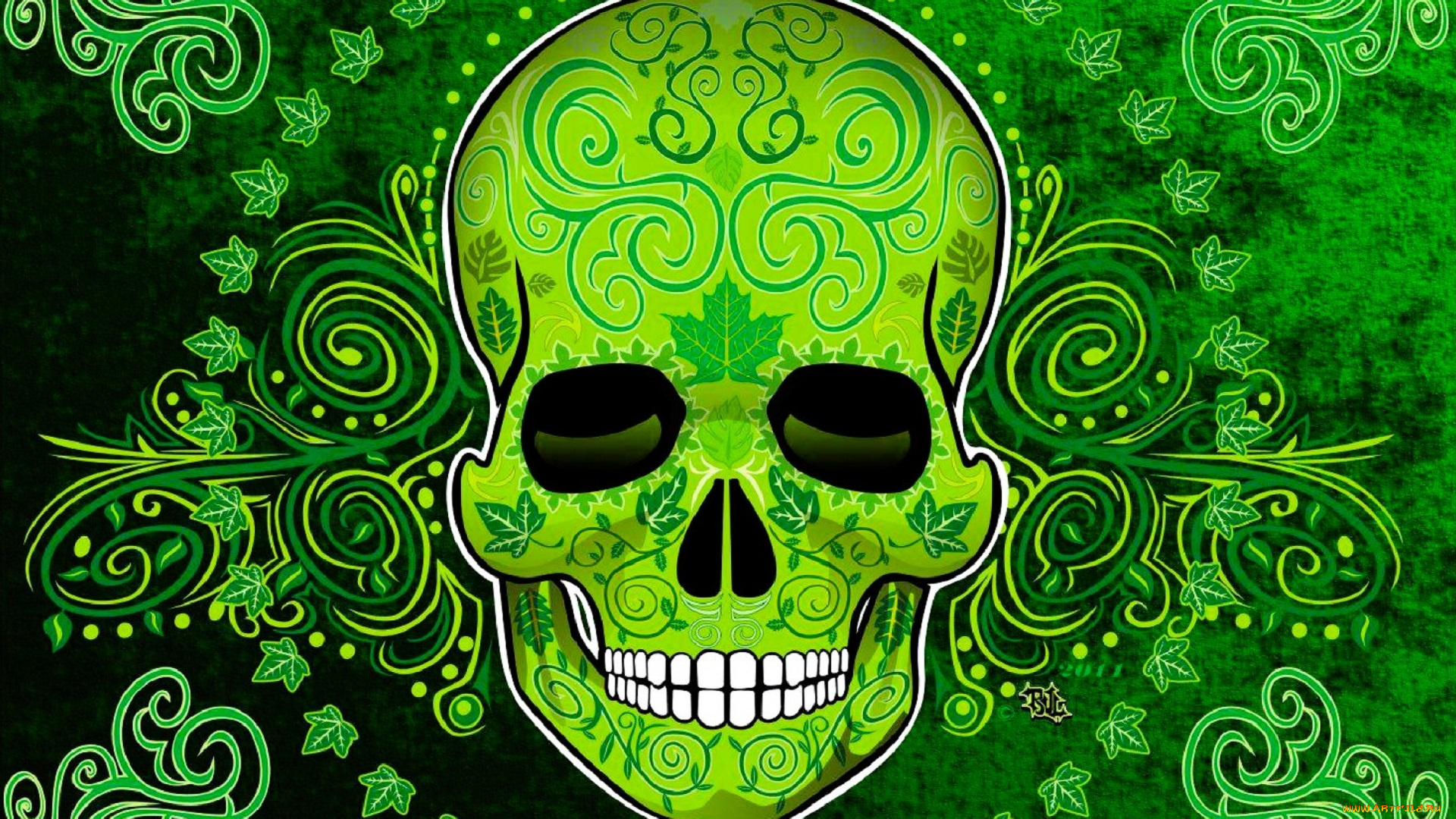 векторная, графика, -графика, , graphics, череп, орнамент, листья, плющ