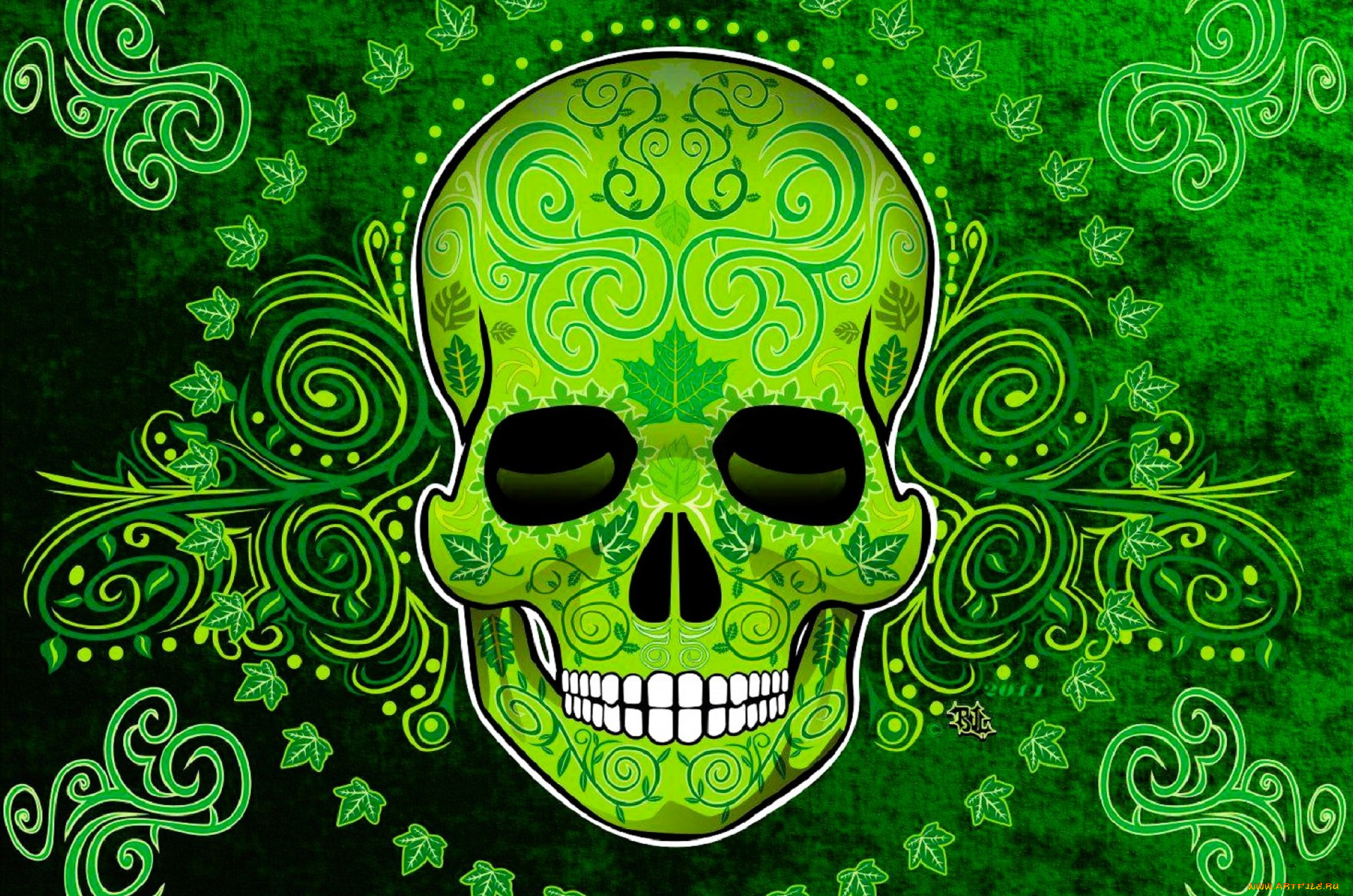 векторная, графика, -графика, , graphics, череп, орнамент, листья, плющ
