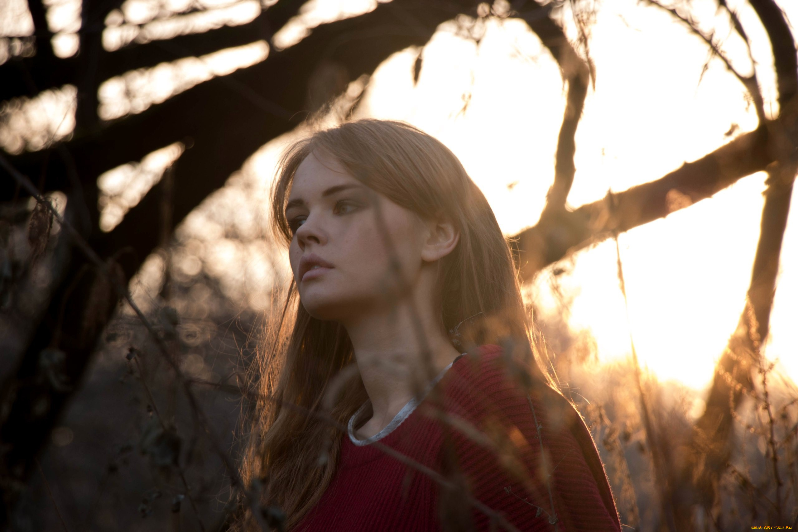 девушки, анастасия, щеглова, шатенка, лицо, свитер, деревья