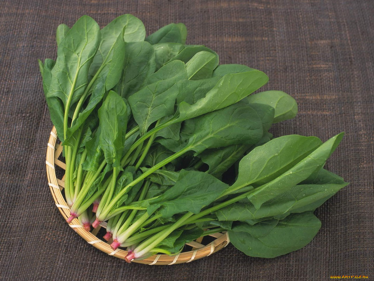 еда, капуста, её, разновидности