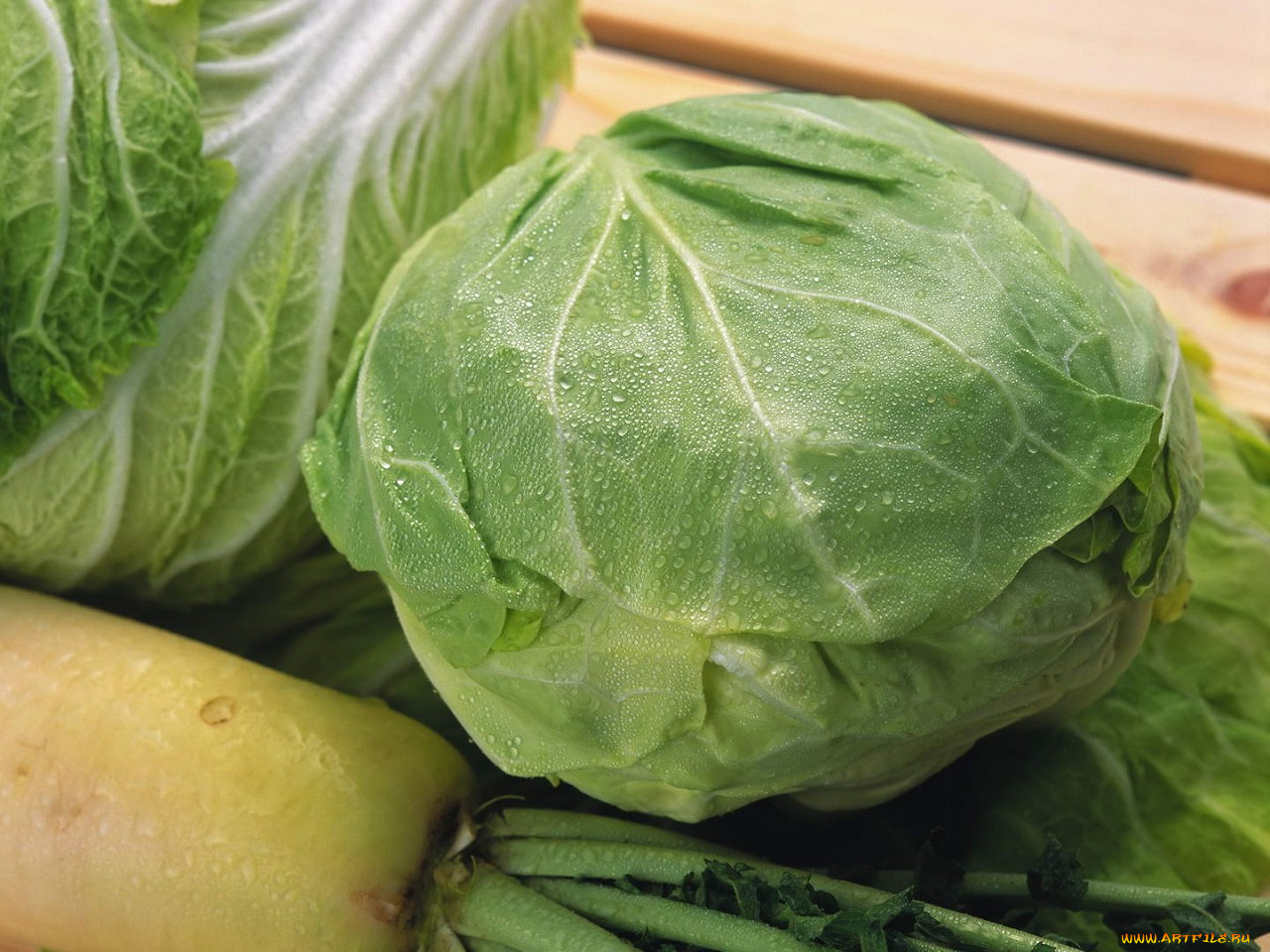 еда, капуста, её, разновидности