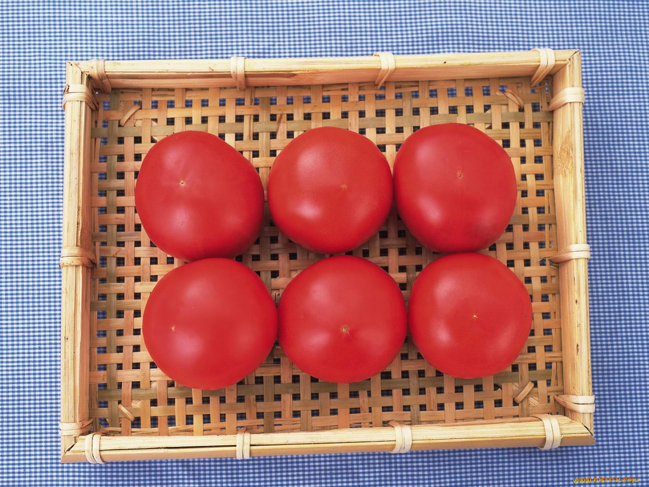 еда, помидоры, томаты