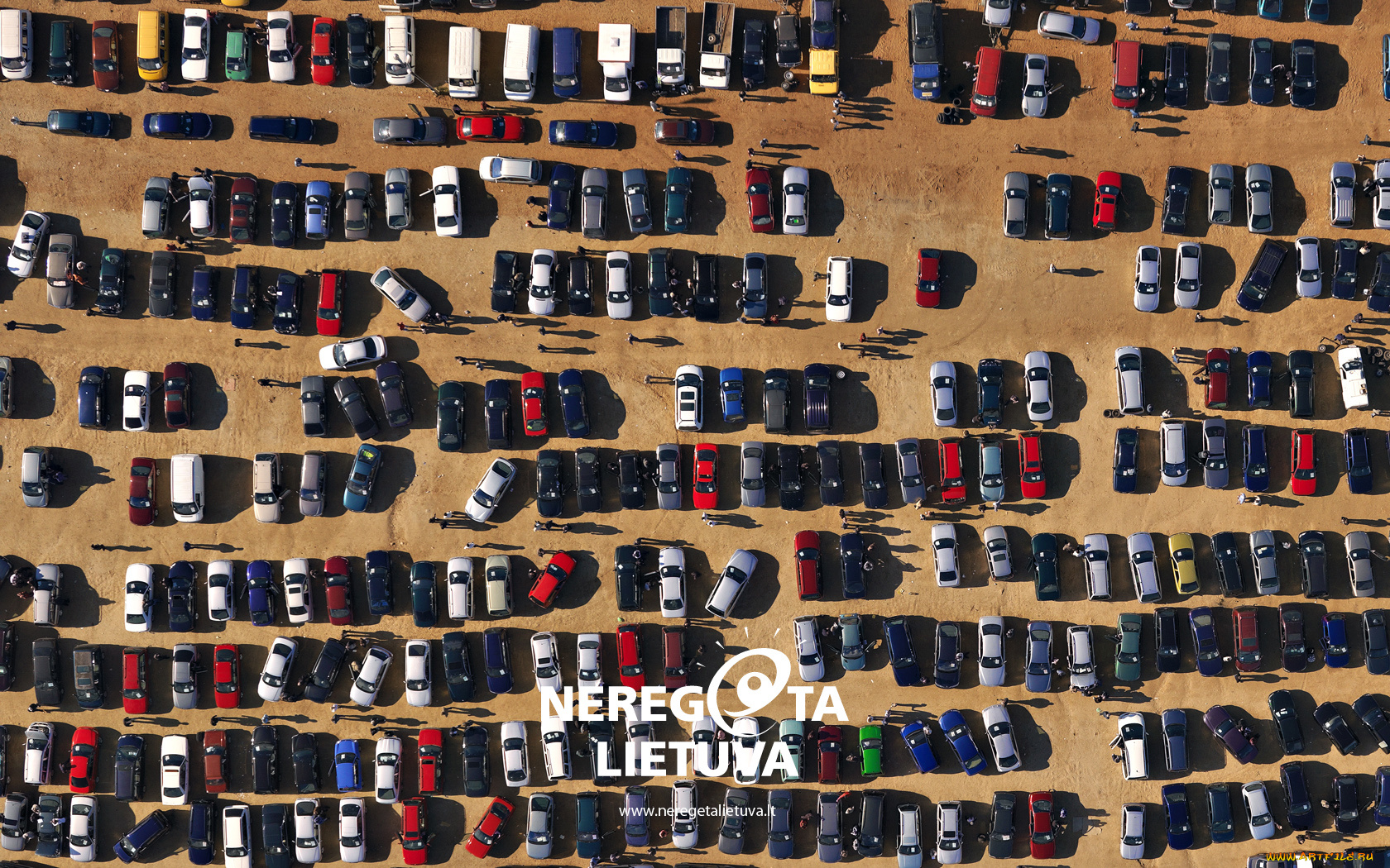 автомобили, разные, вместе