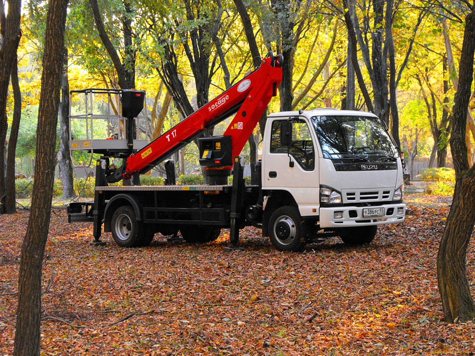 автомобили, suzuki