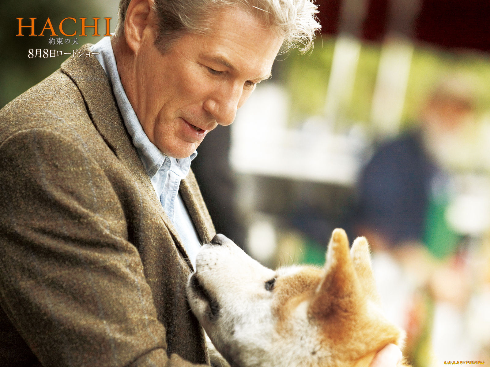 hachiko, dogs, story, кино, фильмы