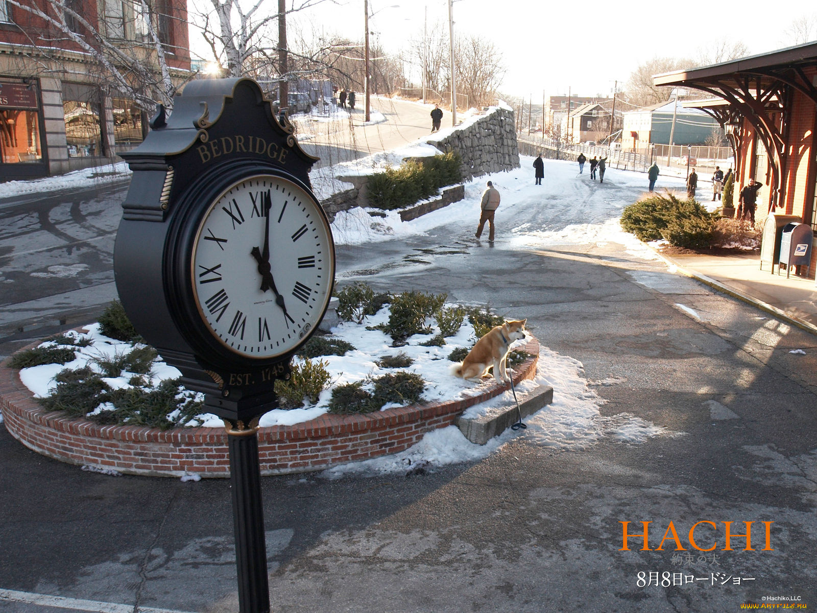 hachiko, dogs, story, кино, фильмы