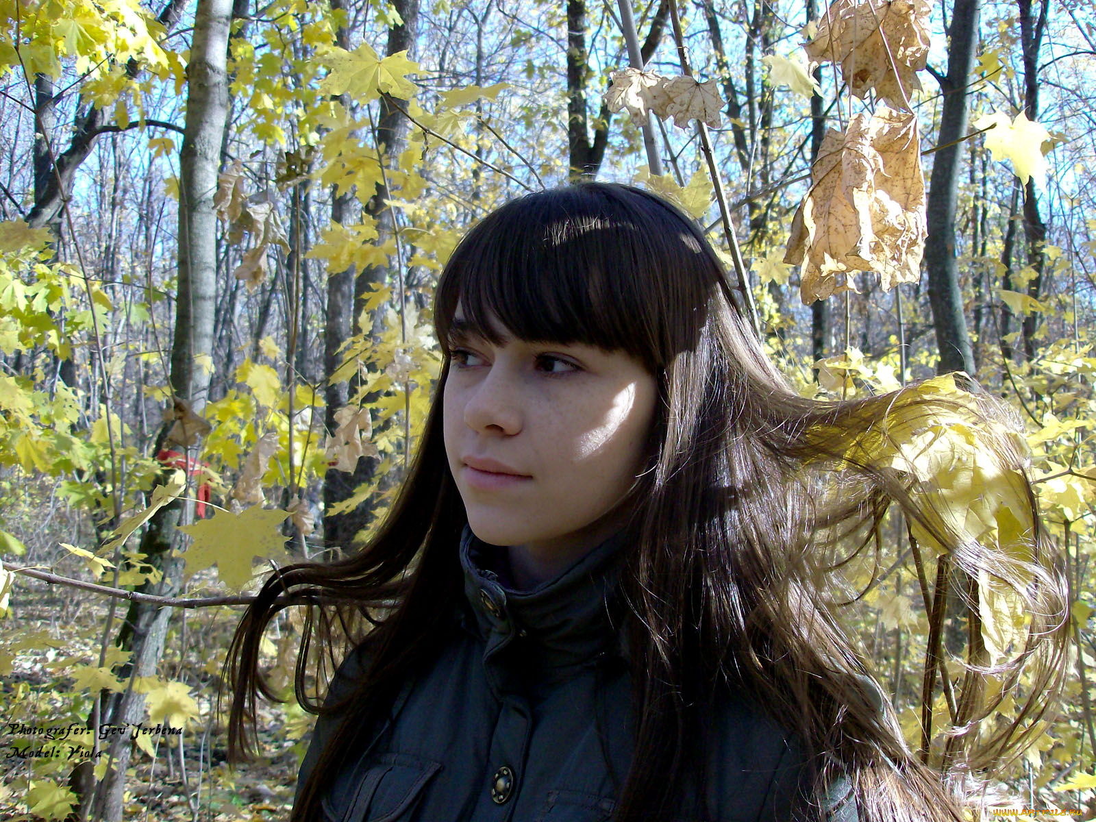 _Unsort, -НЕ, ВЫБИРАТЬ, , , девушка, осень, молель, анна, фотограф, полночь, девушки, , не, выбирать