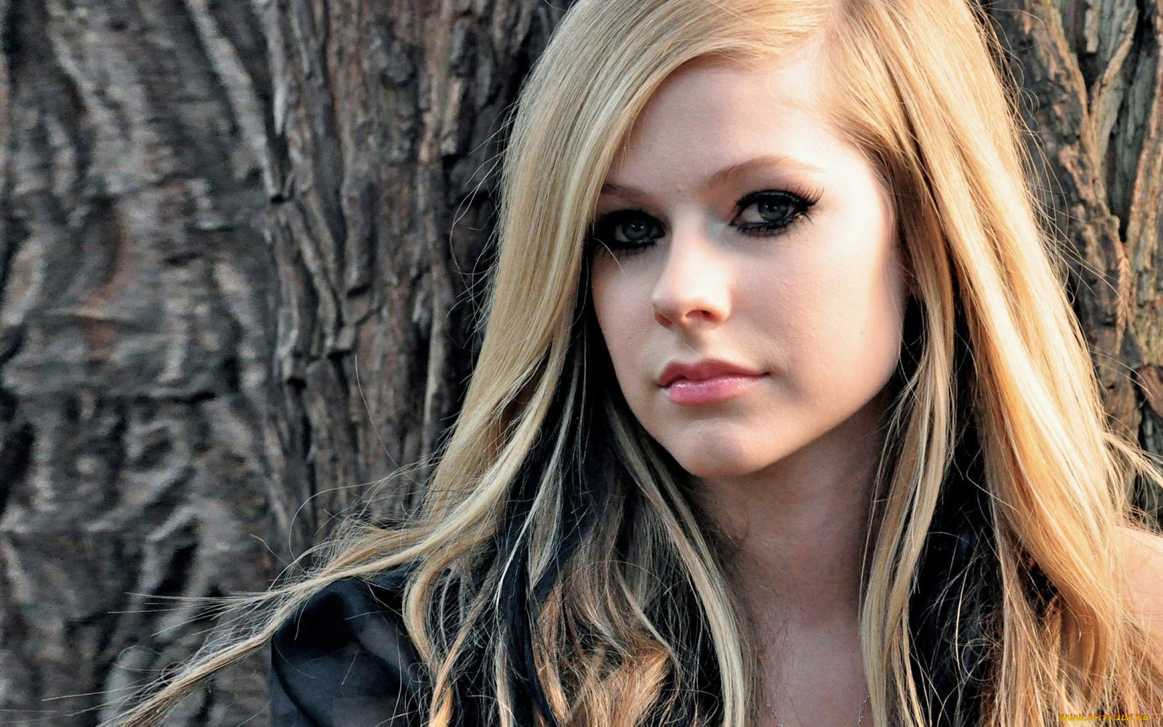 музыка, avril, lavigne, дерево, девушка