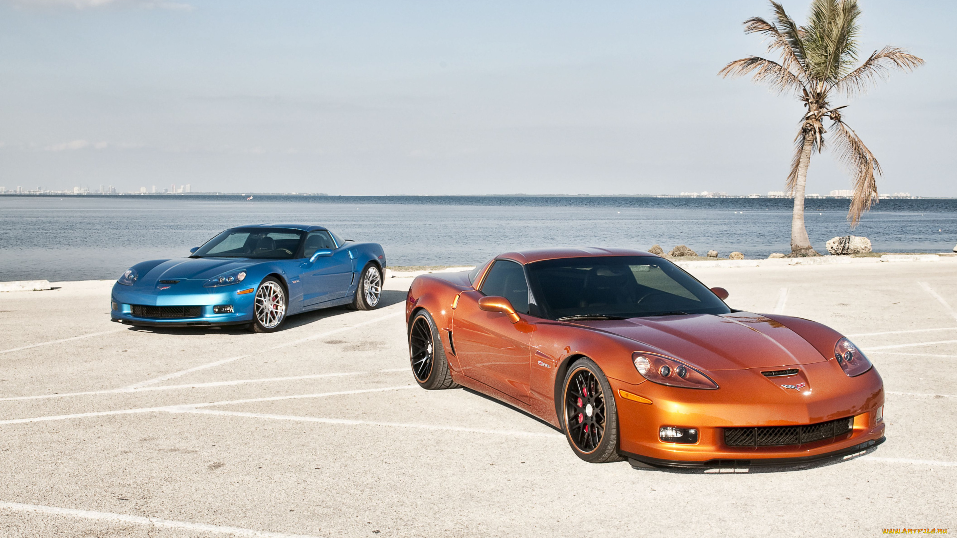 chevrolet, corvette, автомобили