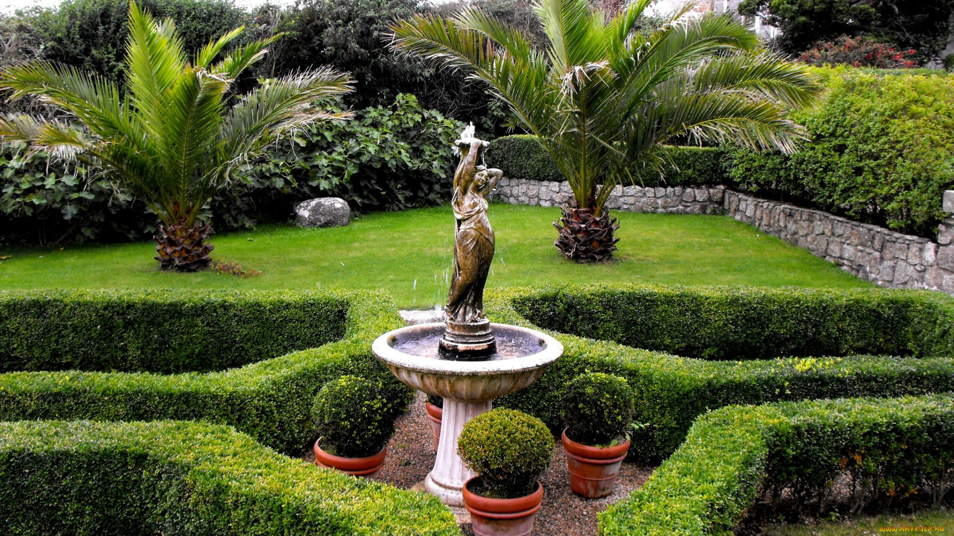 природа, парк, фонтан, пальма