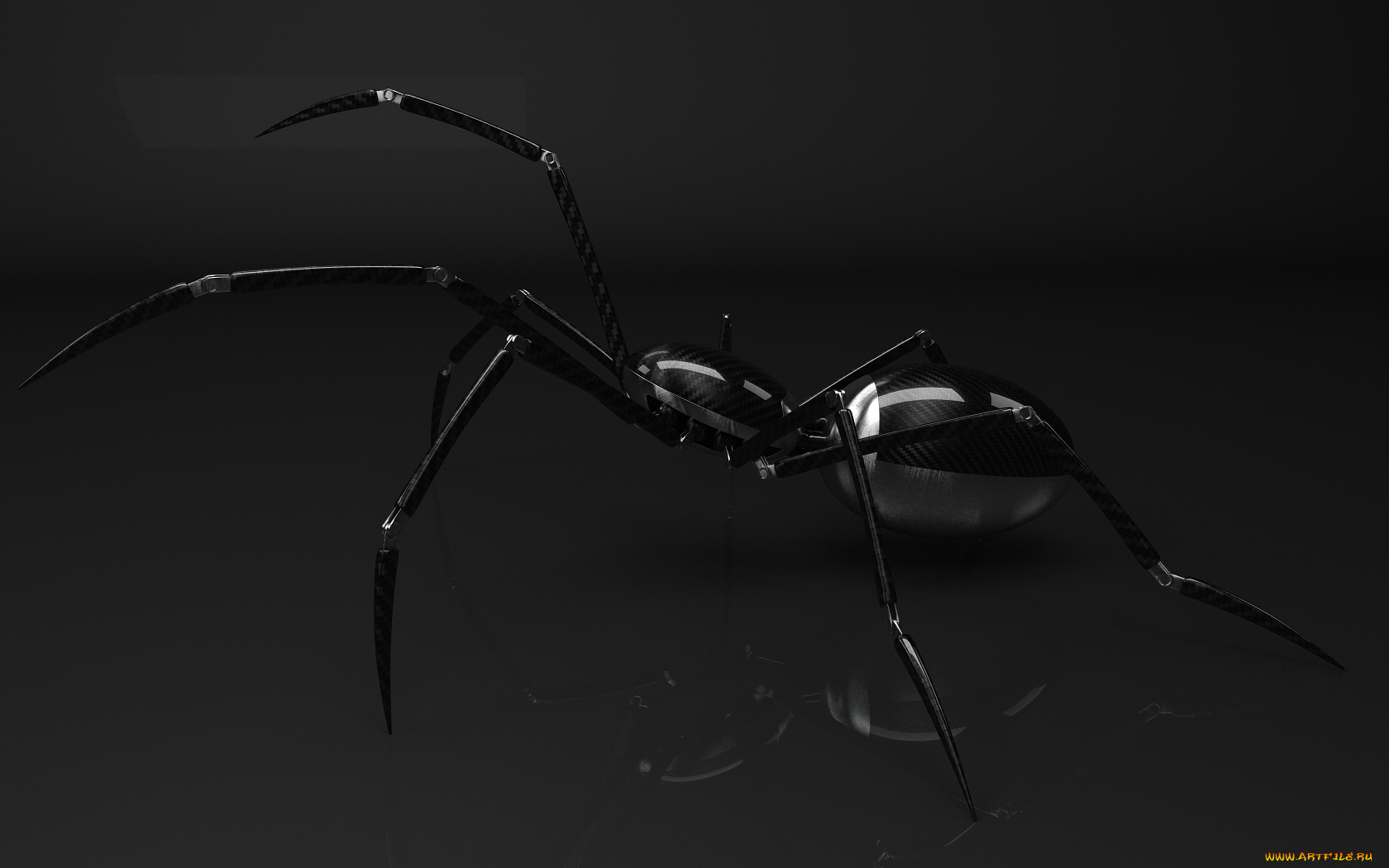3д, графика, animals, животные, паук