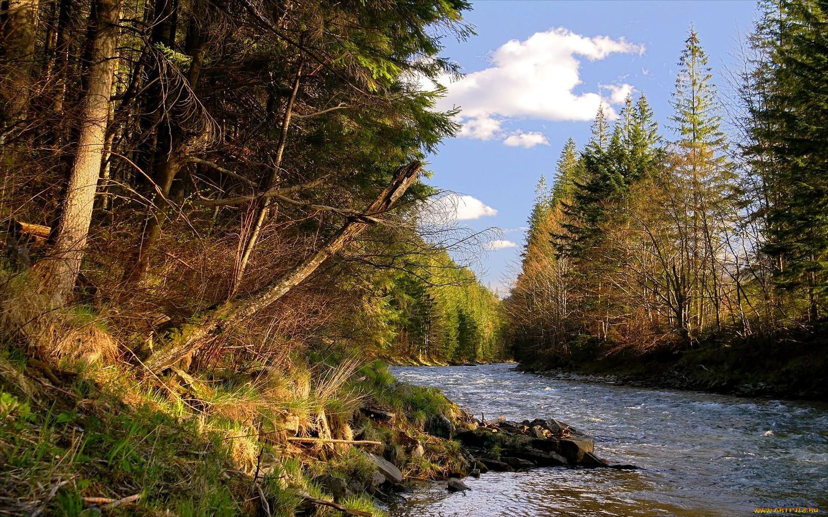 природа, реки, озера, украина, ивано-франковская, область, река, лимница