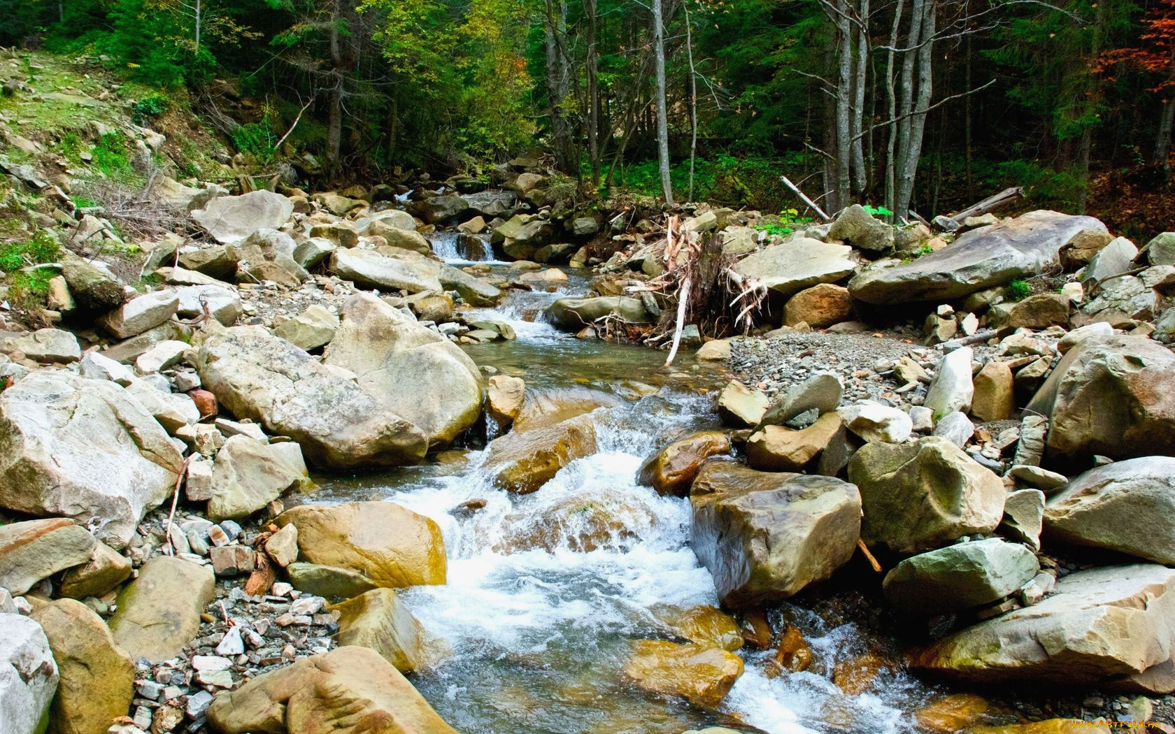 природа, реки, озера, украина, надворнянский, район, урочище, бредулець, ручей