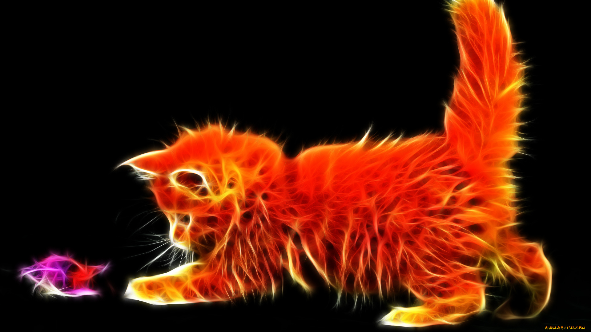 3д, графика, animals, животные, играет, котёнок