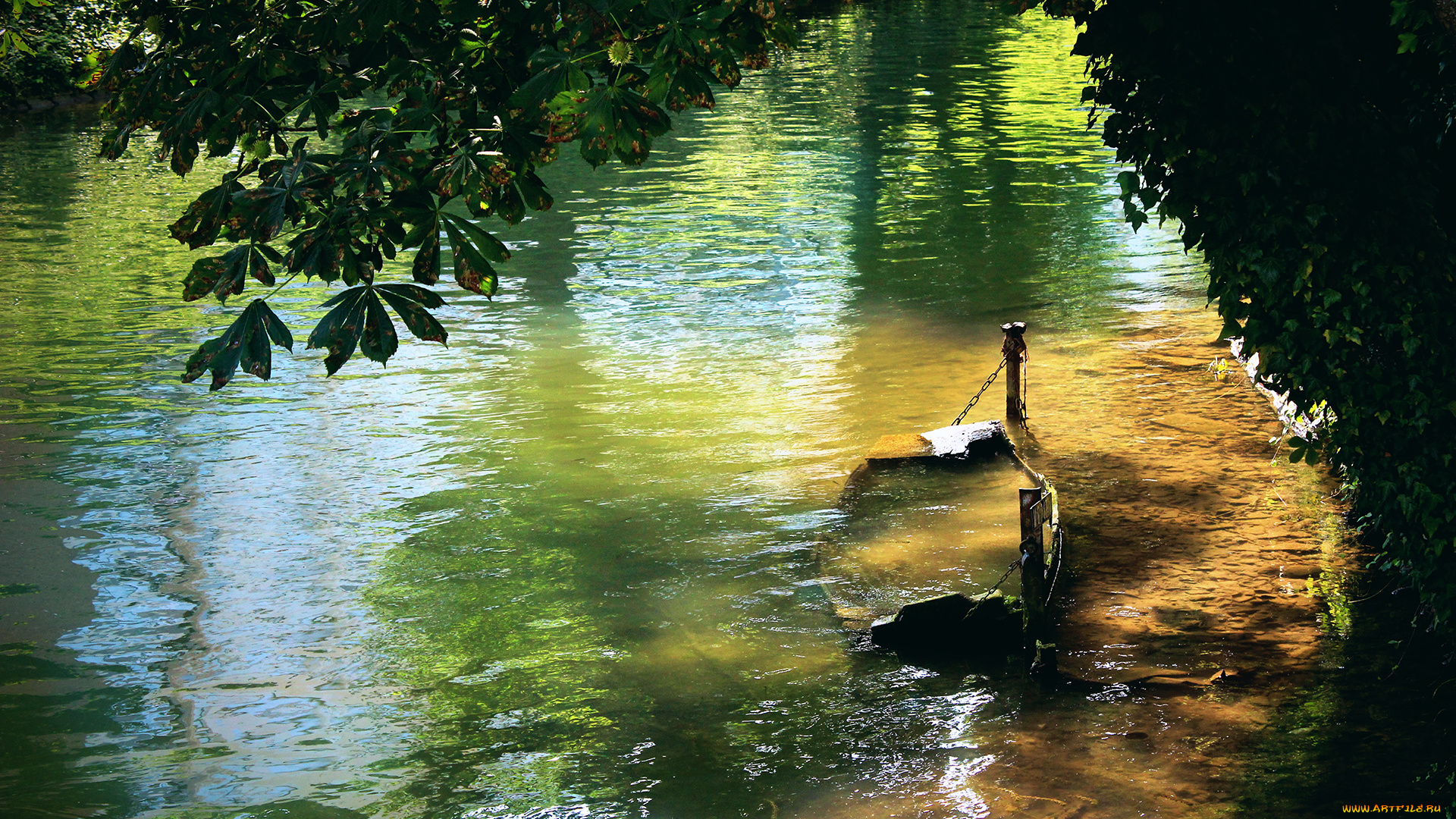 lake, природа, реки, озера, лодка, затопленная, лето, озеро, ветки, деревья