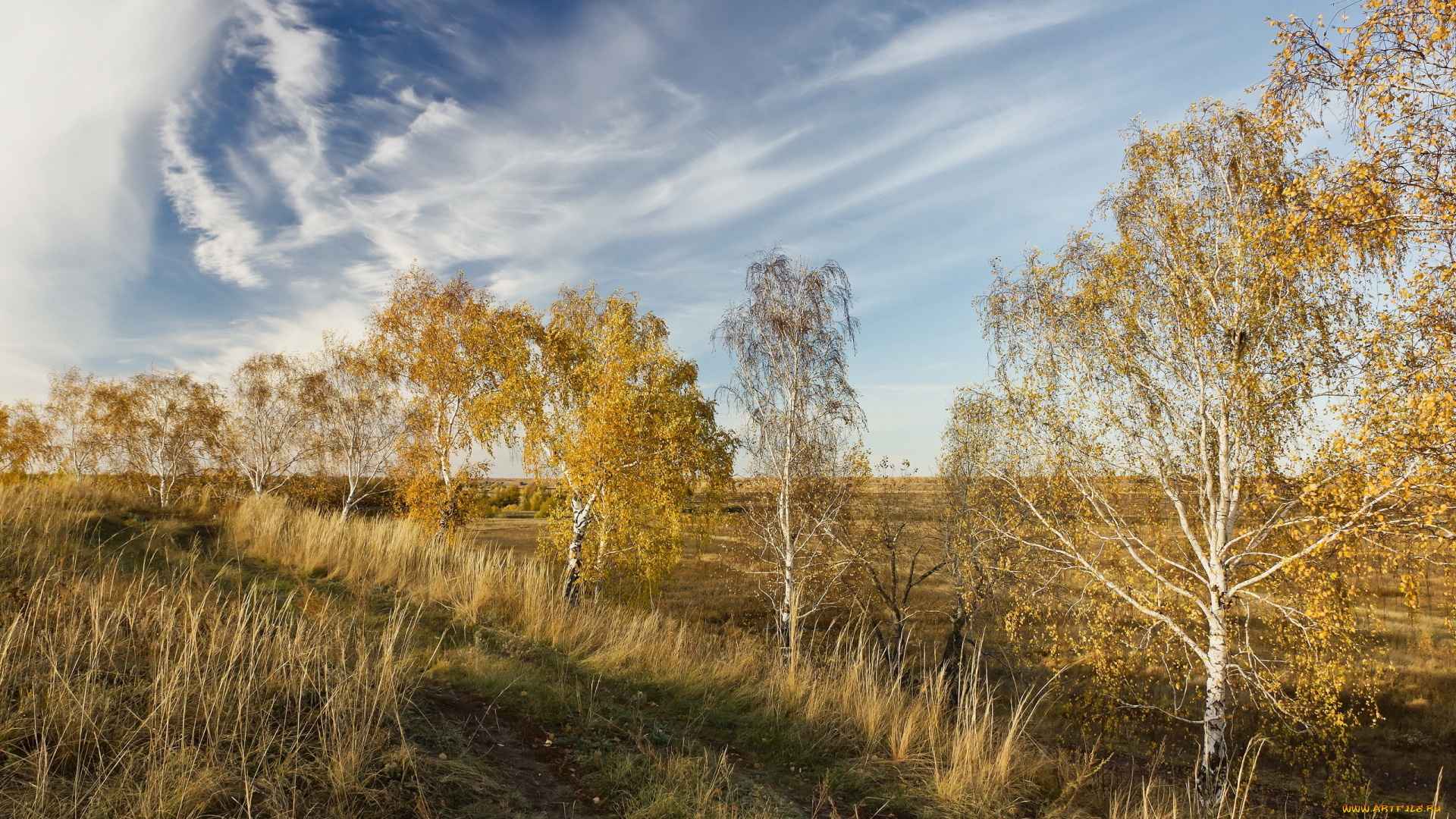 природа, дороги, дорога, поле, осень