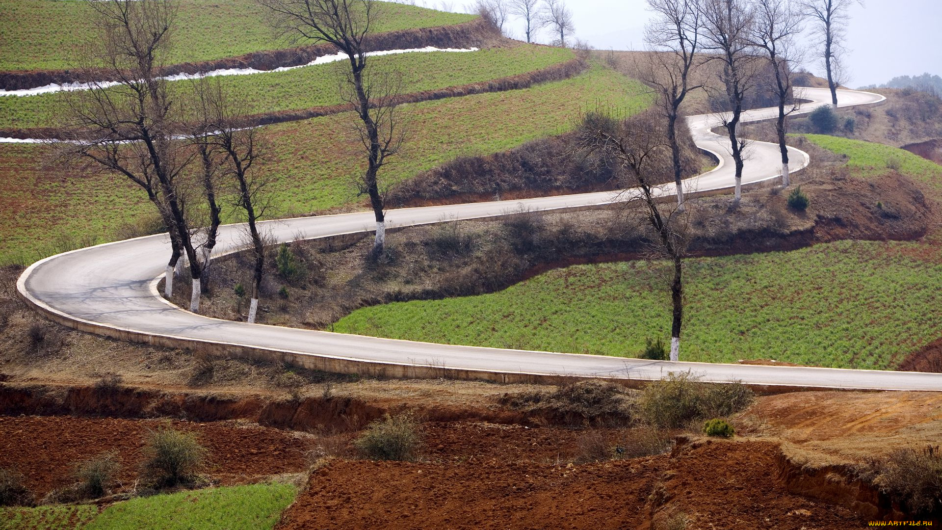 природа, дороги, поля, дорога, деревья, осень