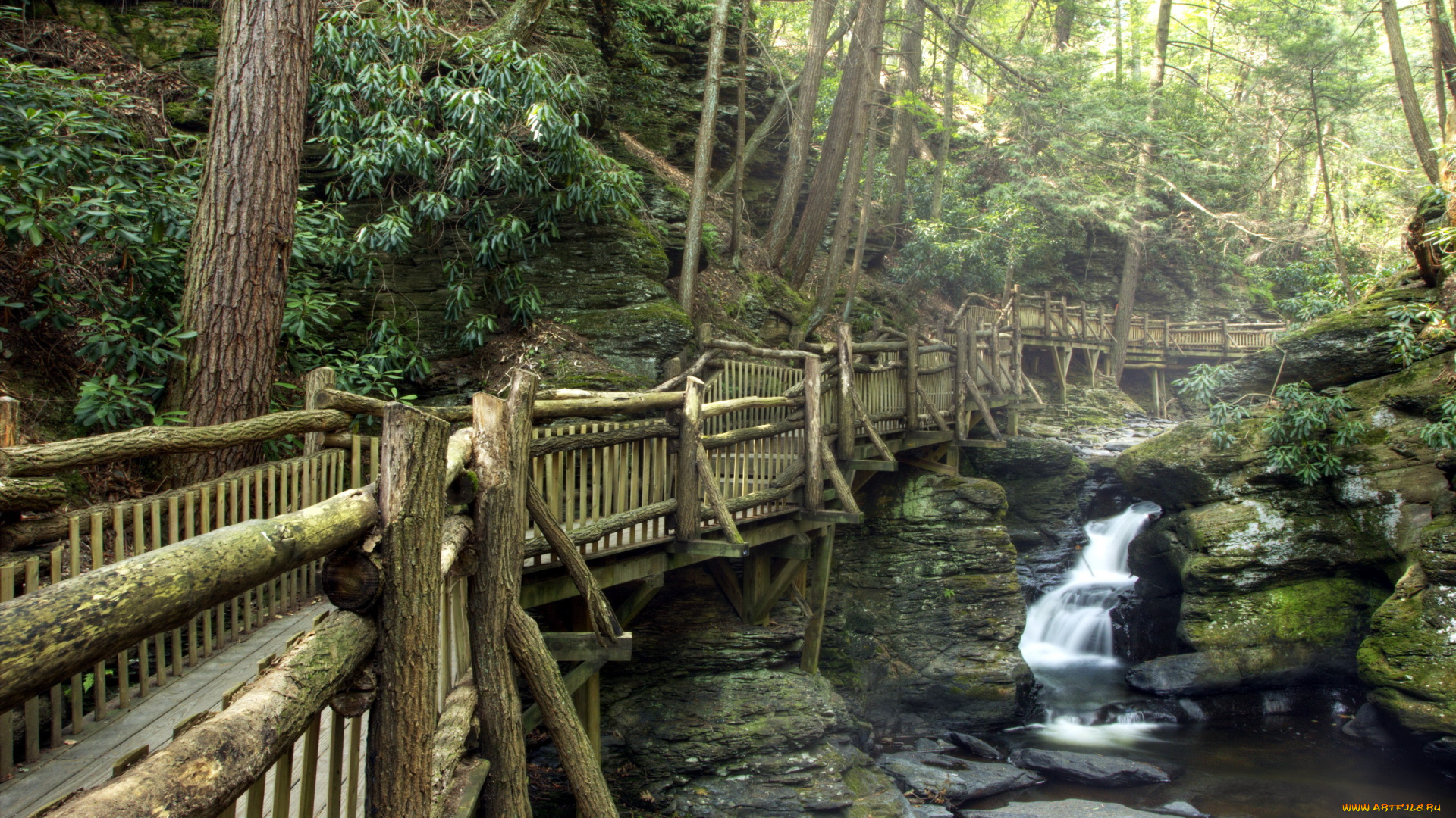 природа, парк, мост, река