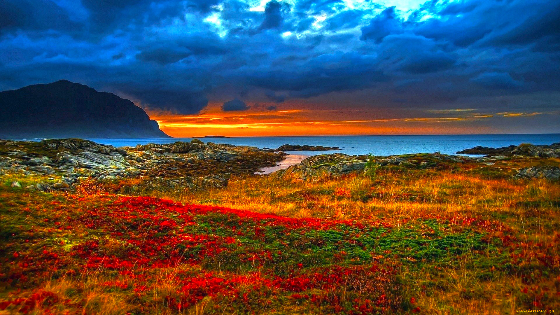 природа, побережье, океан, луг, цветы, тучи