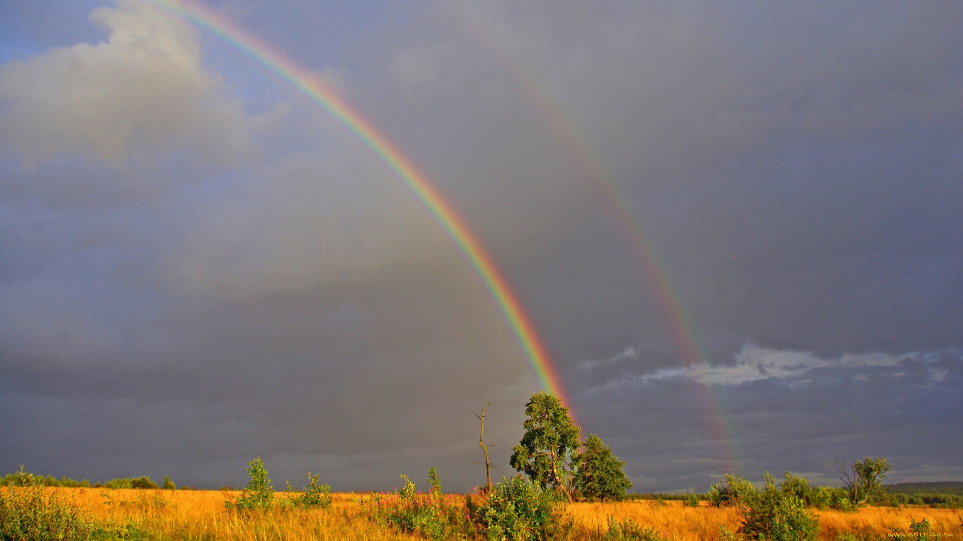 природа, радуга, чудо, природы, стихия