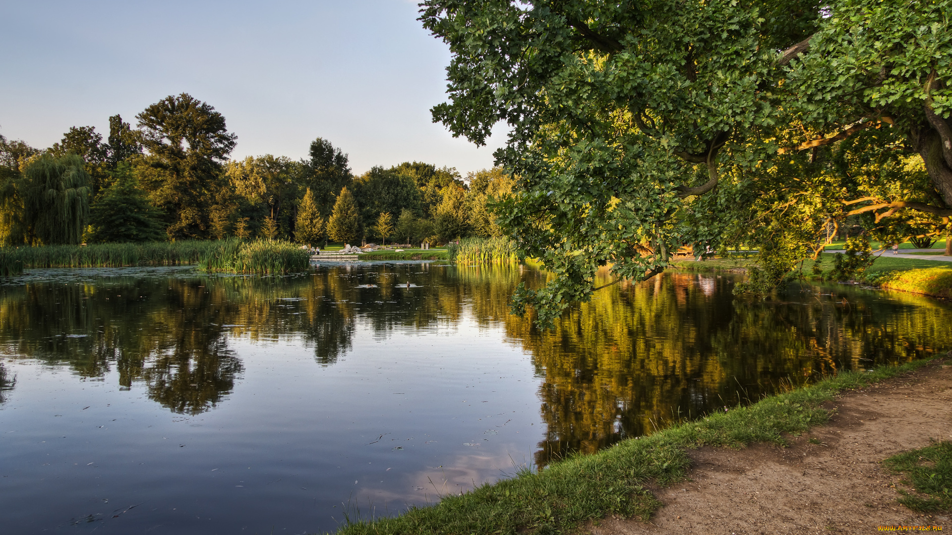 природа, реки, озера, прага, Чехия