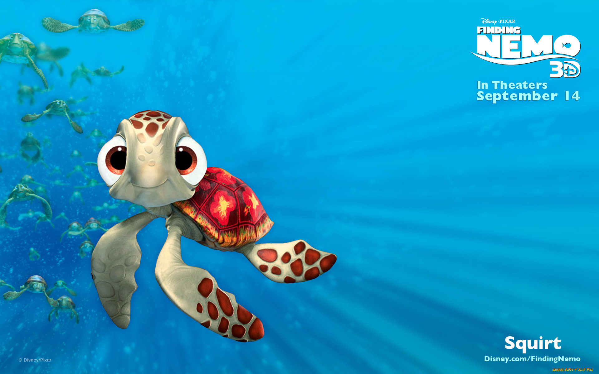 finding, nemo, мультфильмы, в, поисках, немо