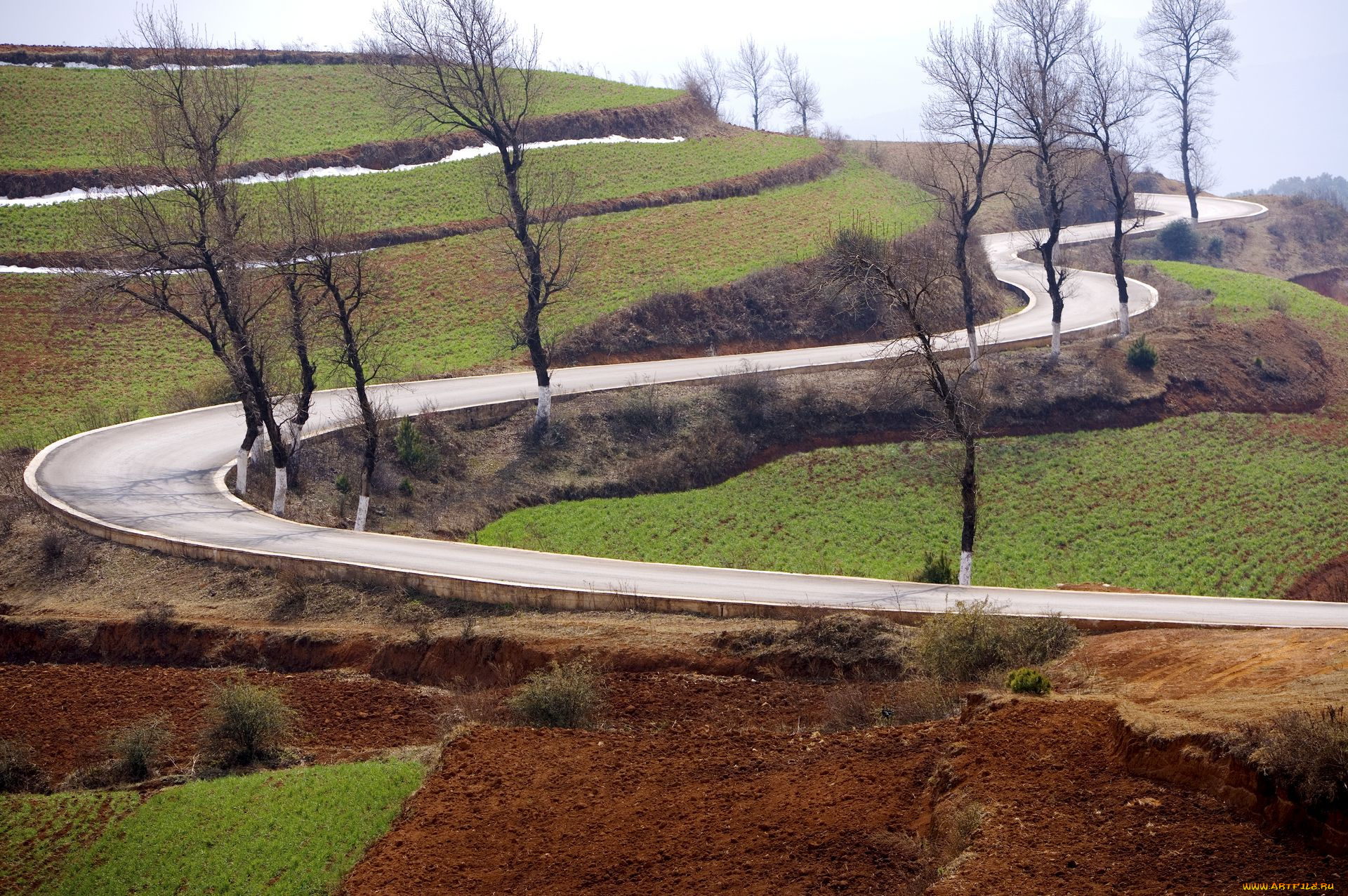 природа, дороги, поля, дорога, деревья, осень