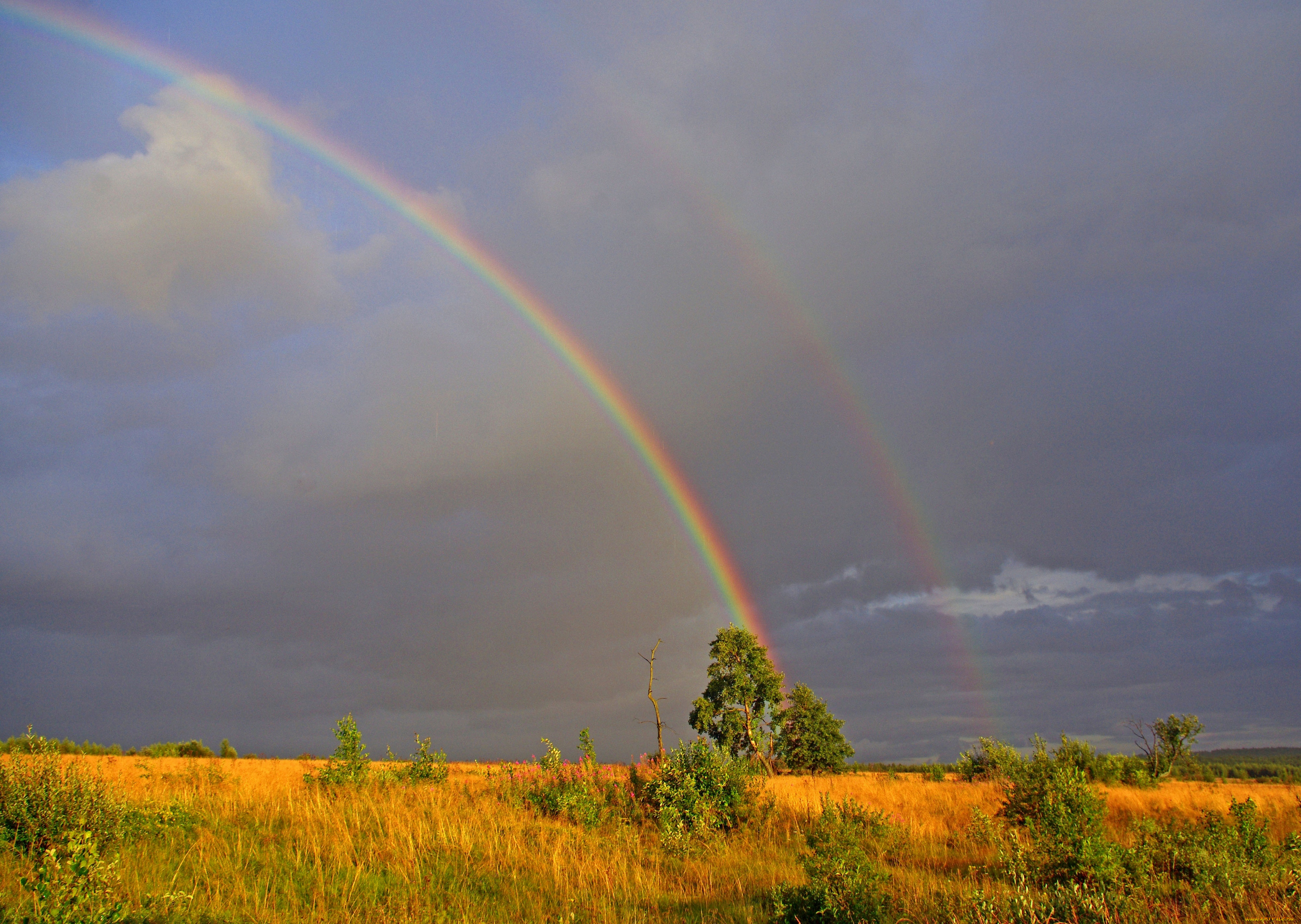 природа, радуга, чудо, природы, стихия
