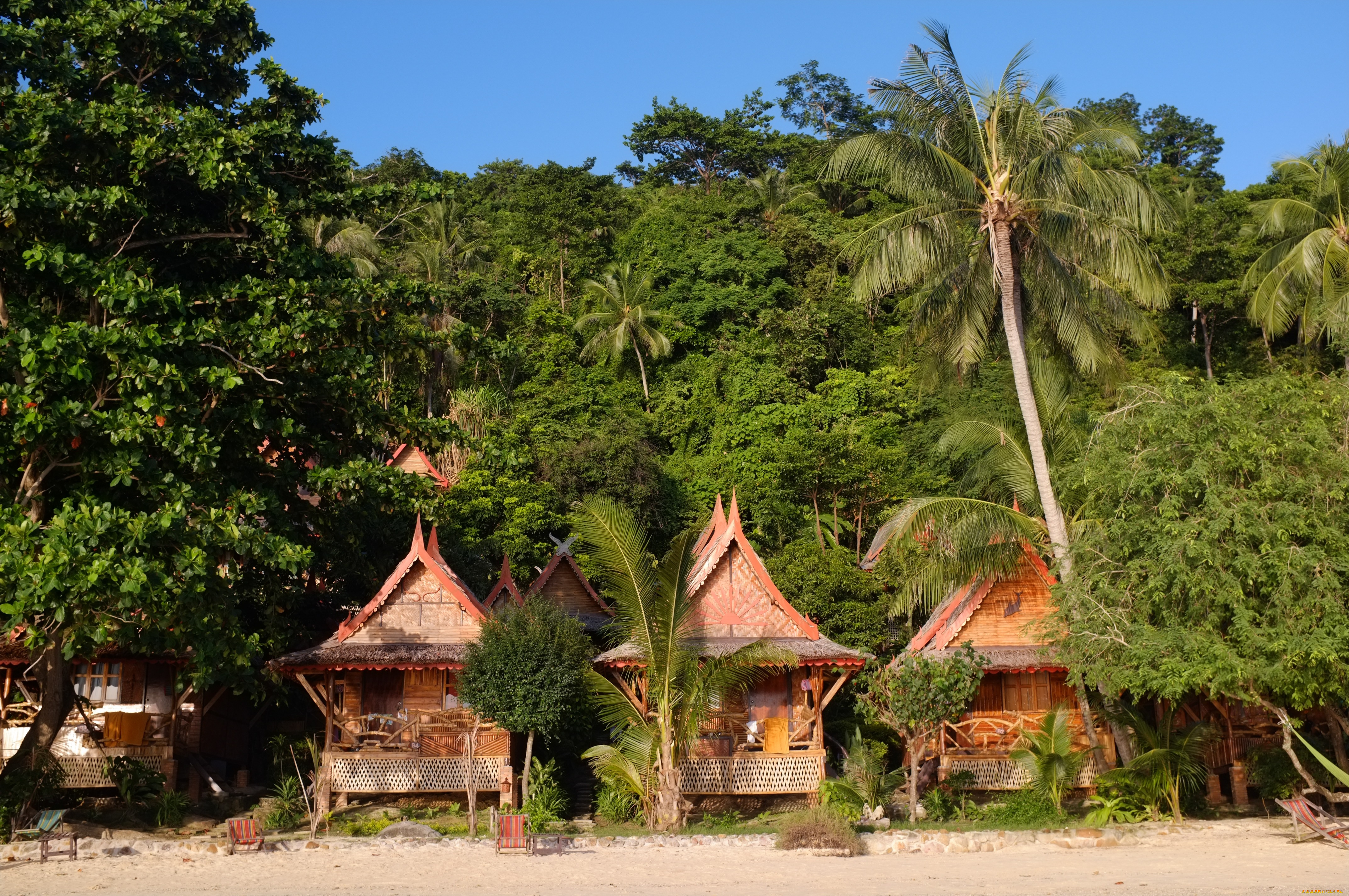 природа, тропики, побережье