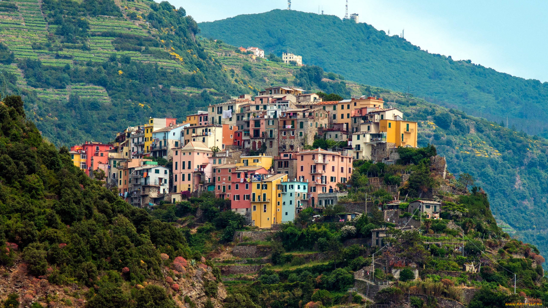 corniglia, cinque, terre, италия, города, амальфийское, лигурийское, побережье, горы, поля, дома