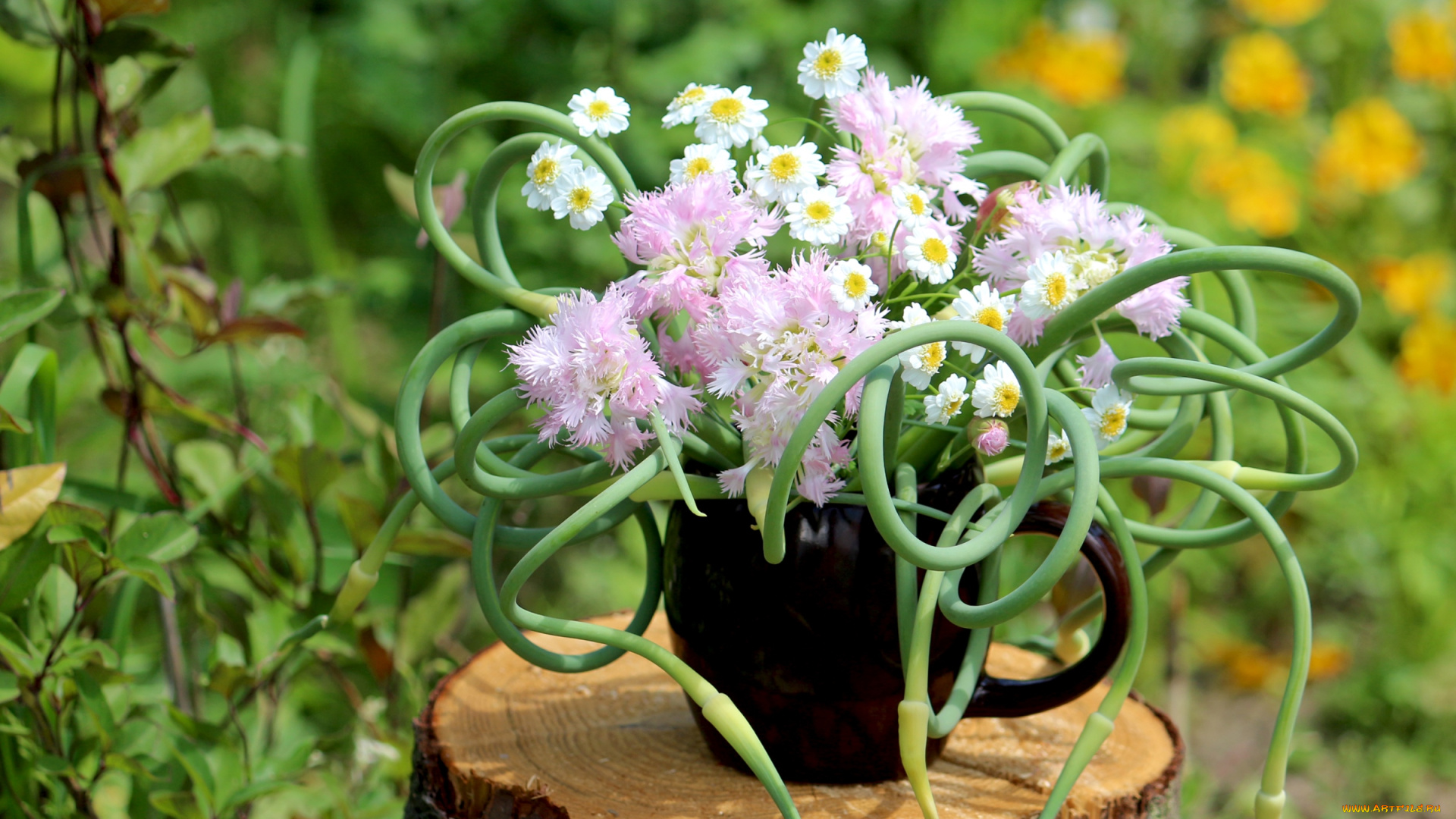 цветы, букеты, композиции, ромашки, стрелки, лук, гвоздика