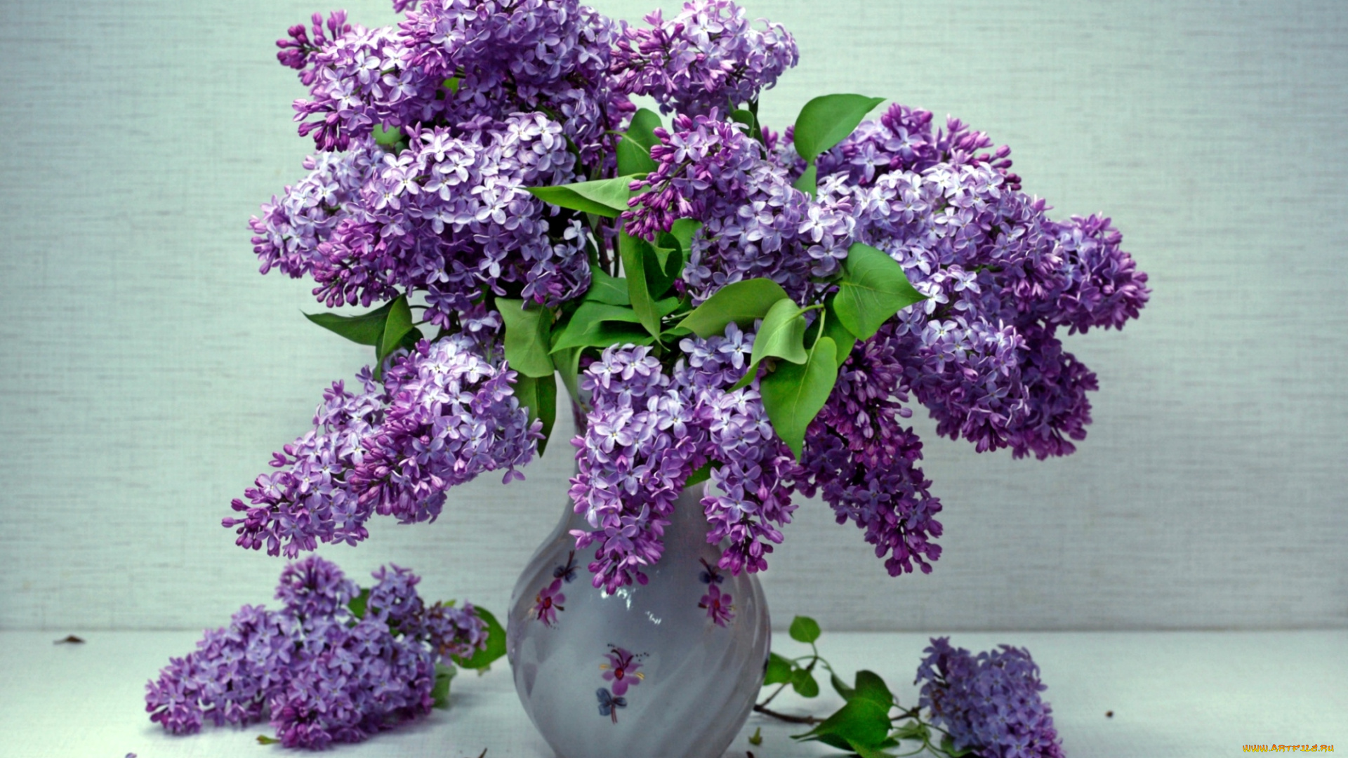 цветы, сирень, букет